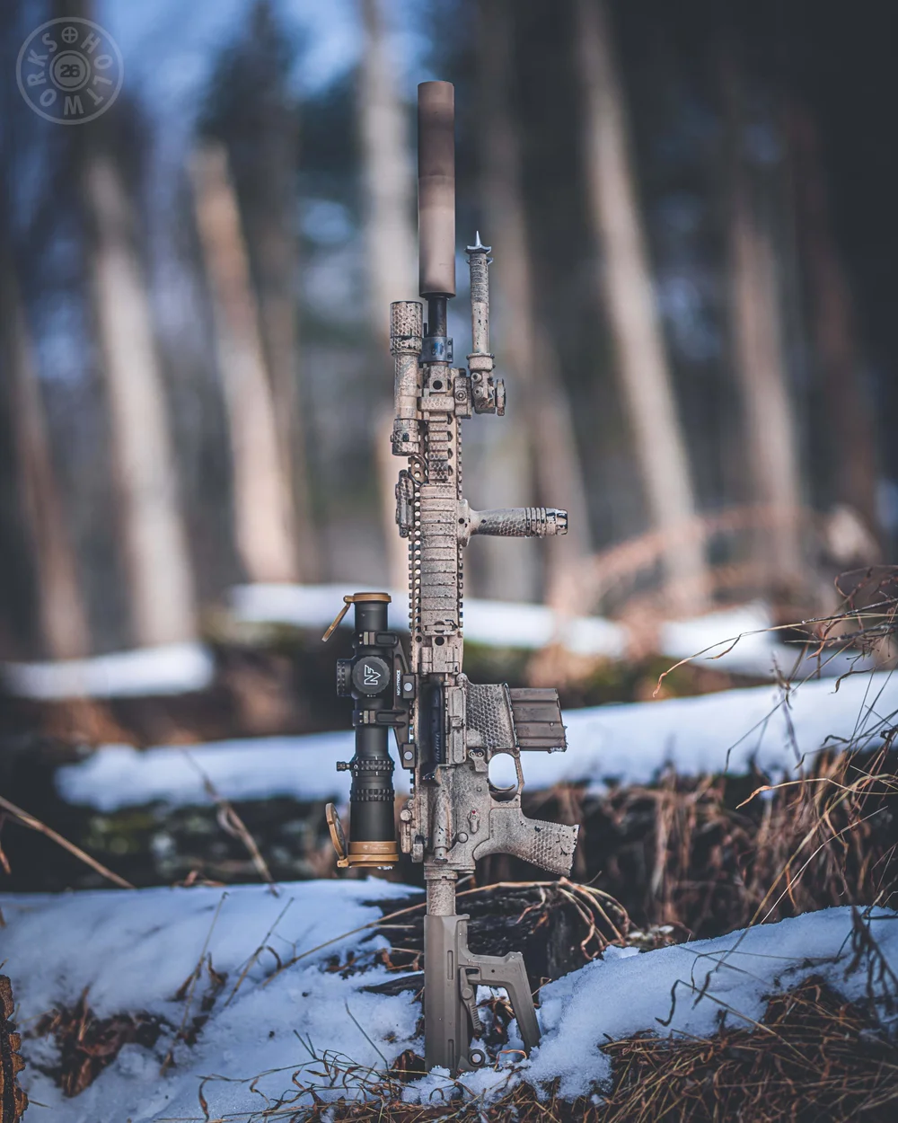 AR-15 rifle in snow on a fallen log