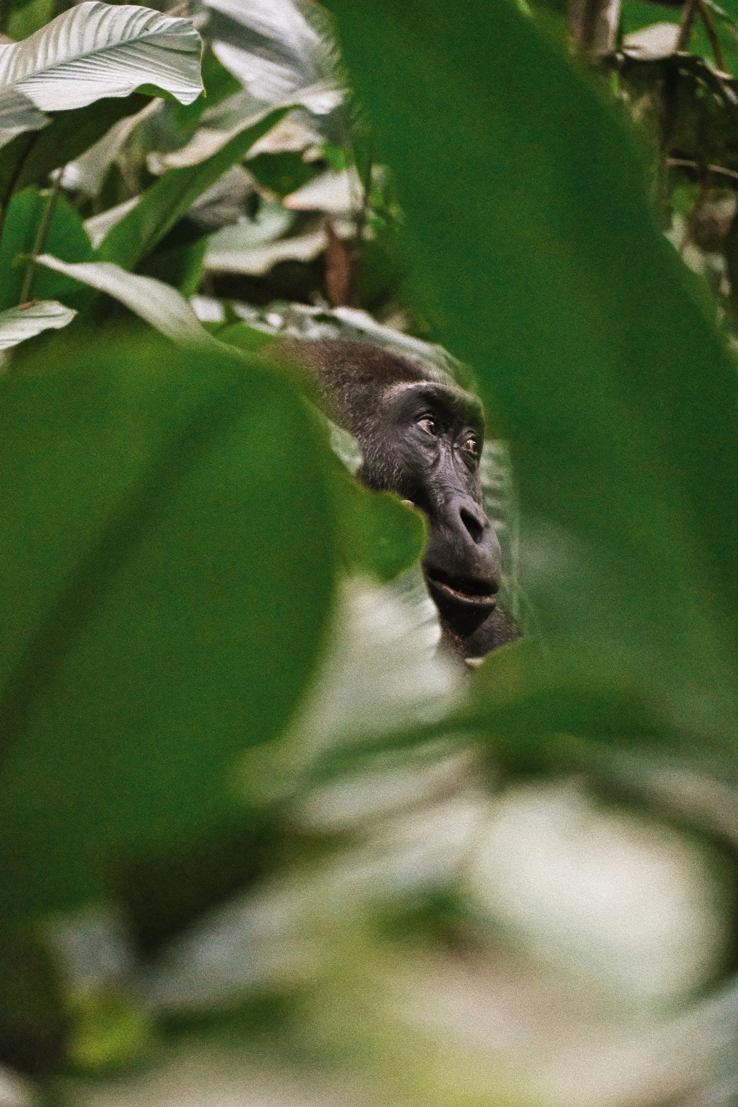 DSCF8213_VSCO.jpg
