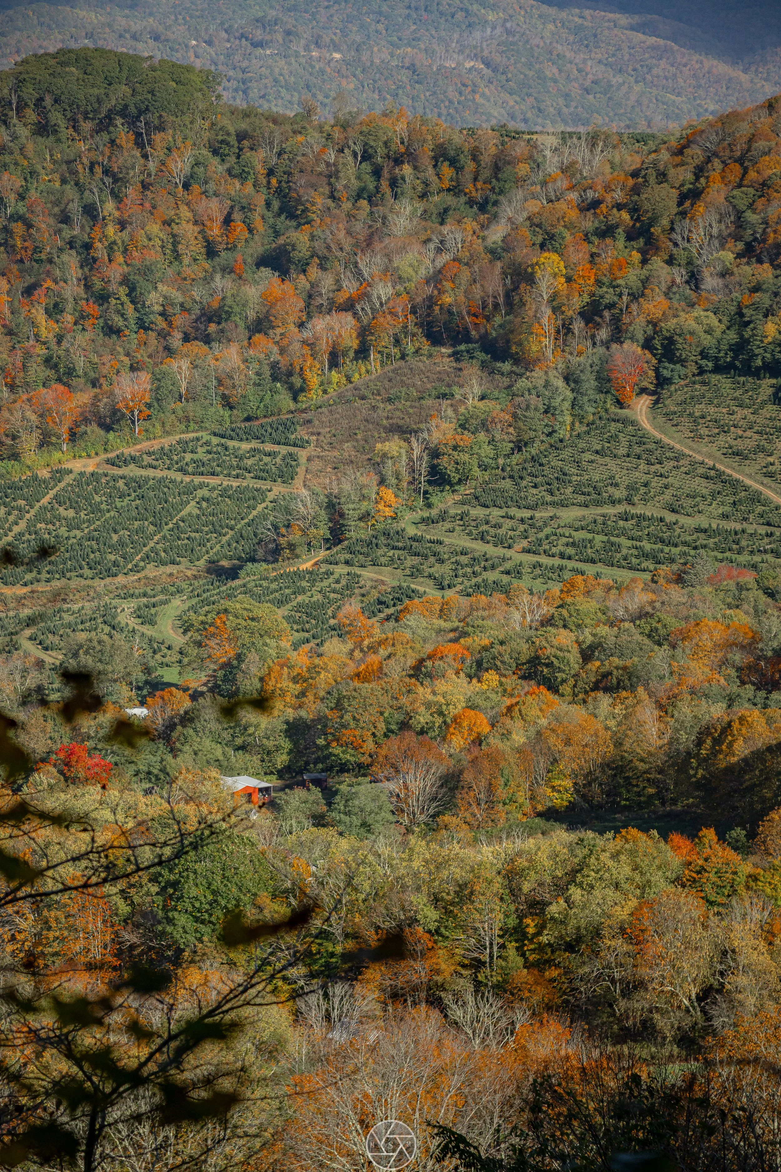 Fall Backpacking, Roan Mountain, NC 2025
