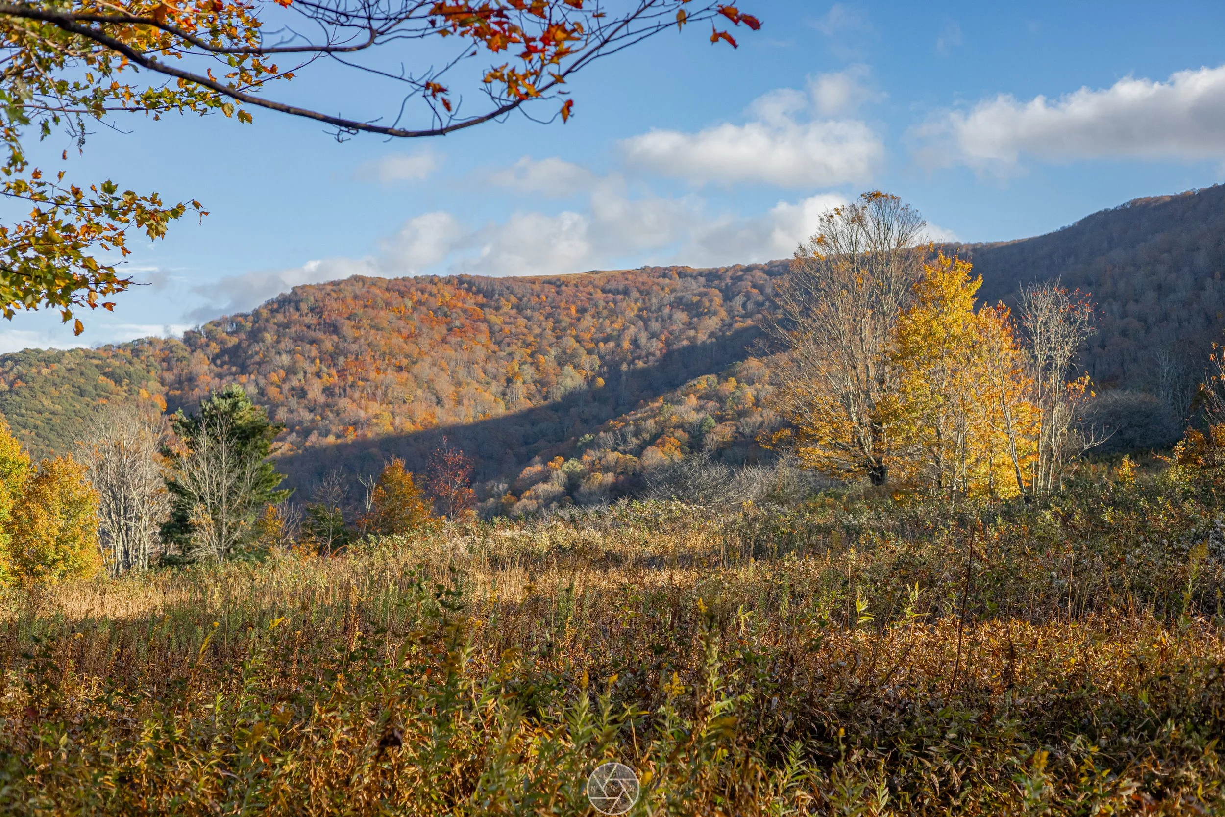 Fall backpacking, Roan Mountain 2025