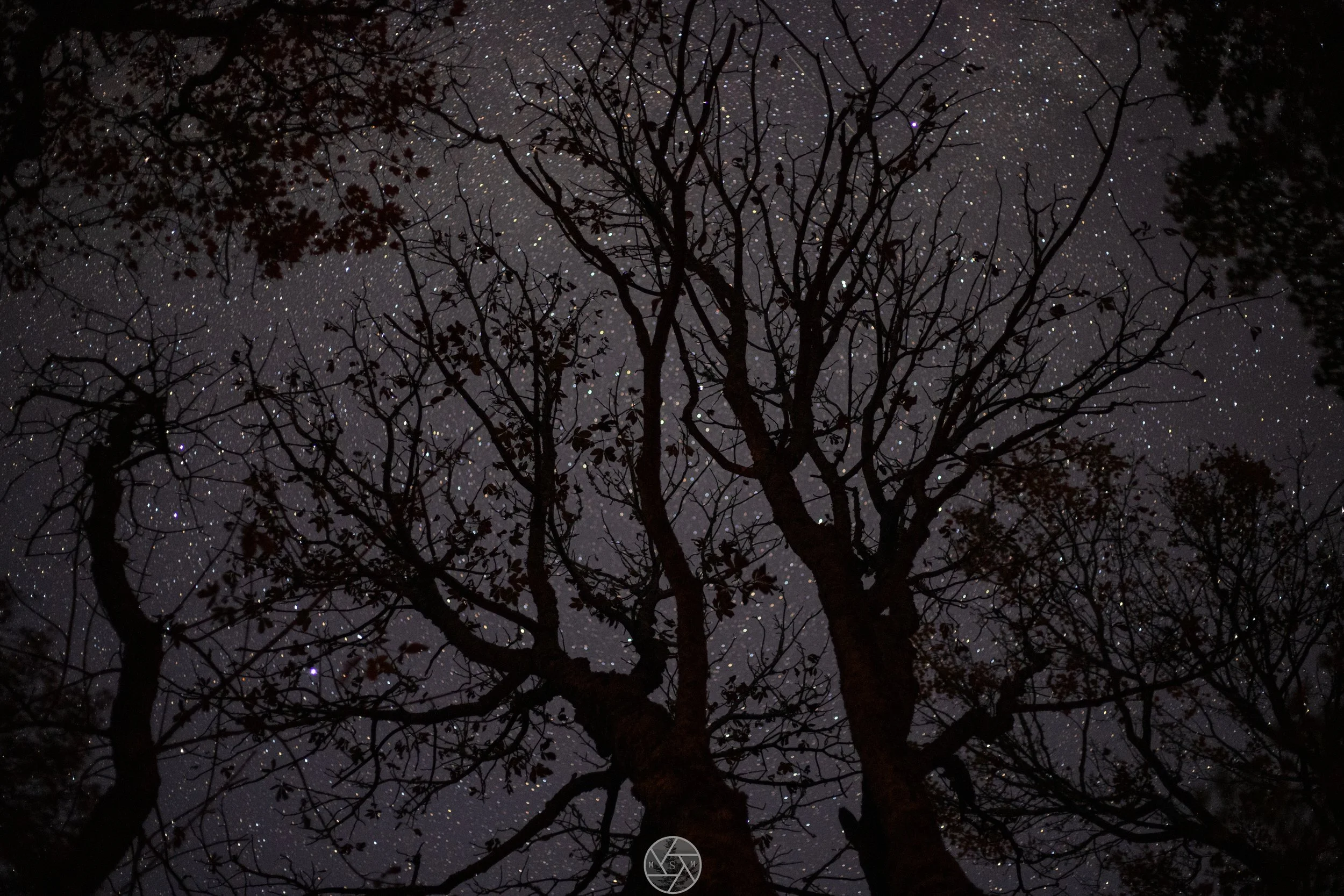 Camp night sky, Fall backpacking 2025