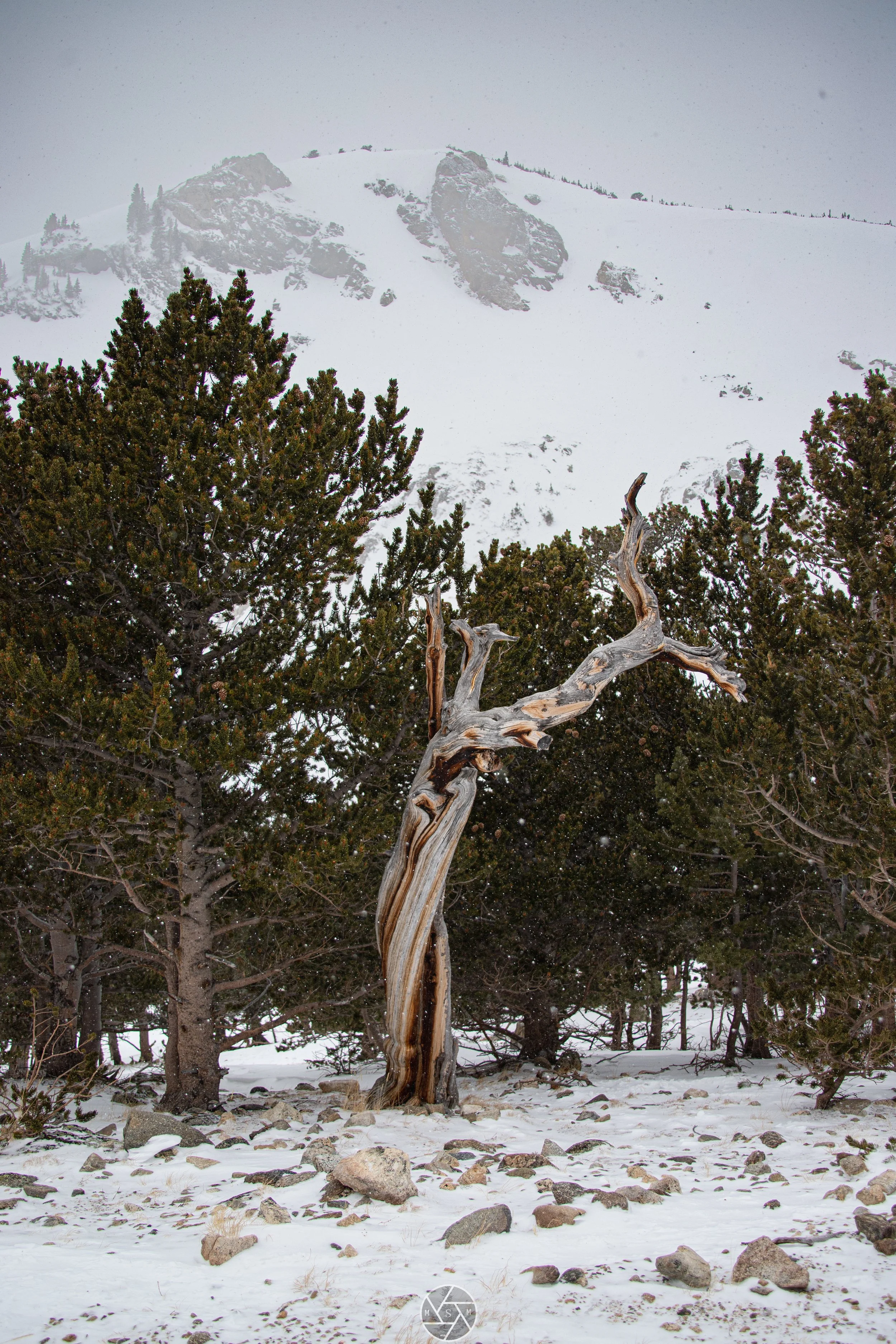 Standing Strong, St Mary's Glacier, Colorado, 2/23