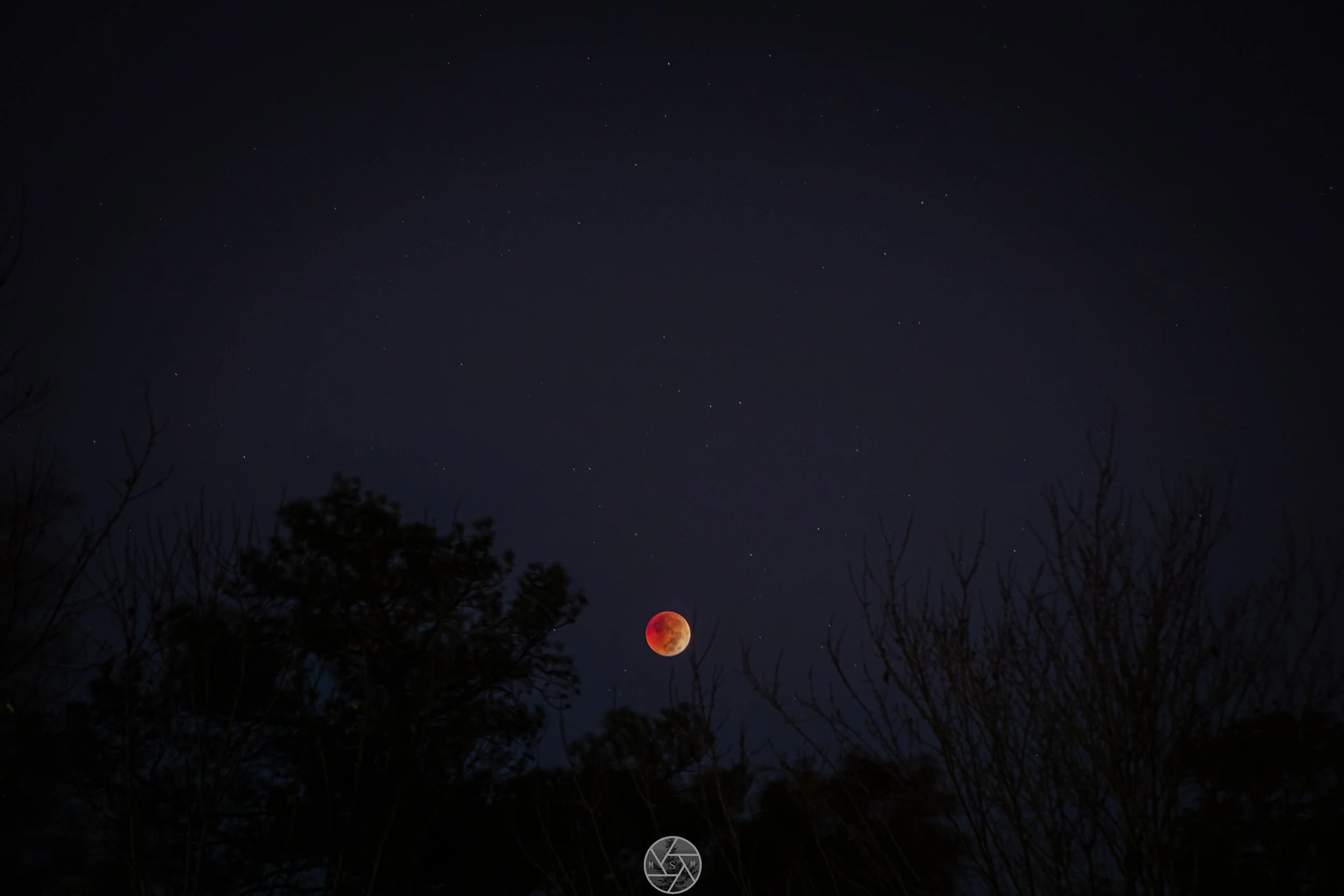 Blood Moon Eclipse 11/8/22