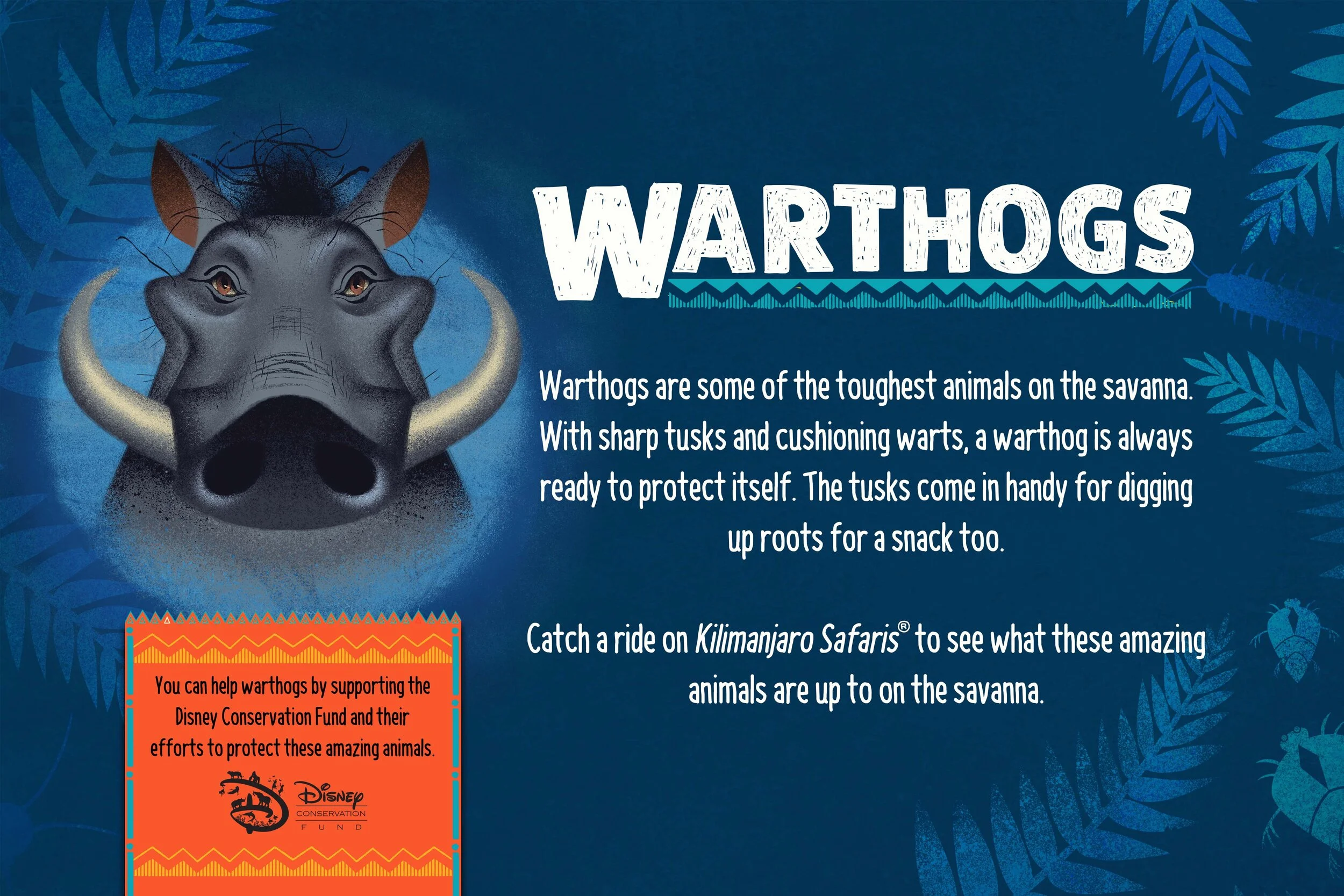 AwarenessGraphicDAK_insert_Warthogs-Recovered.jpg