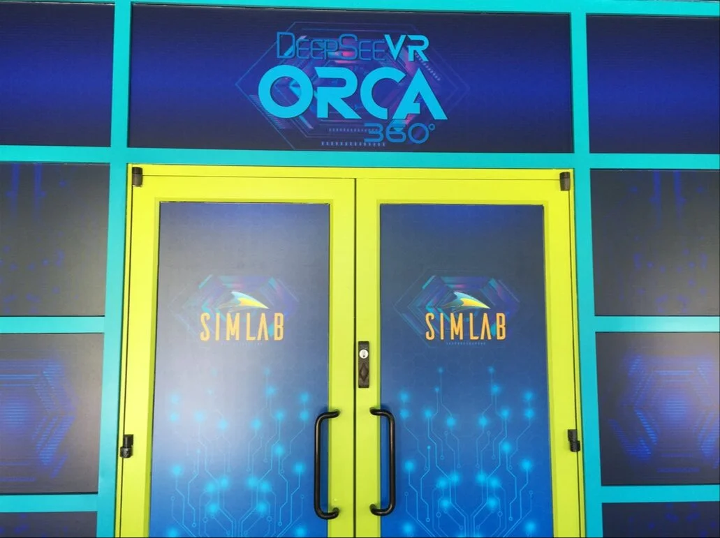 orca4.jpg