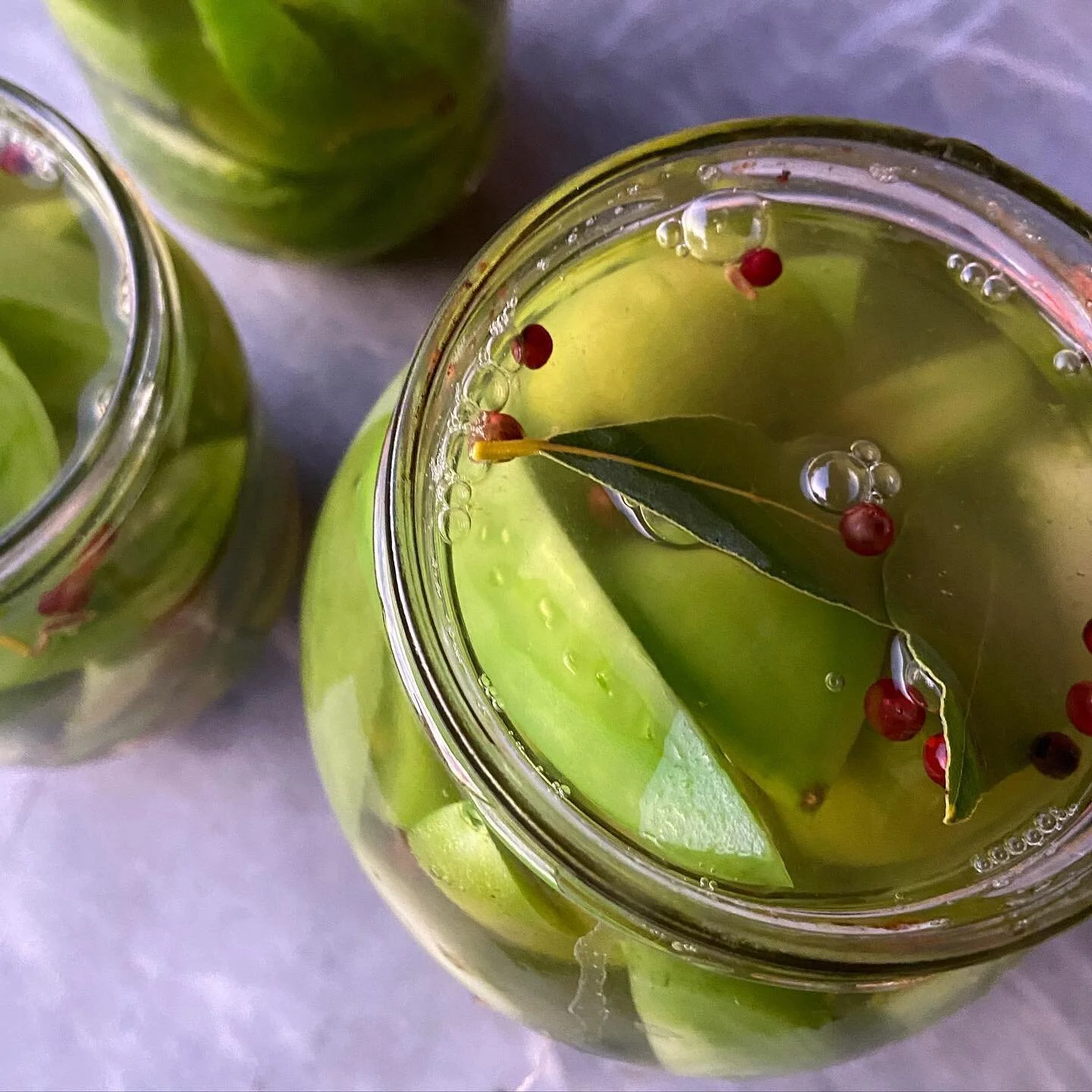 Experimenting with fermentation 🌱

.
#fermetation#fermentedfoods#goodhabits#slowliving#organicgardening#slowlife#organicfood#tuscancountryside #tuscany#foodsforthought#backtotheroots#fermentationislife#zerowaste