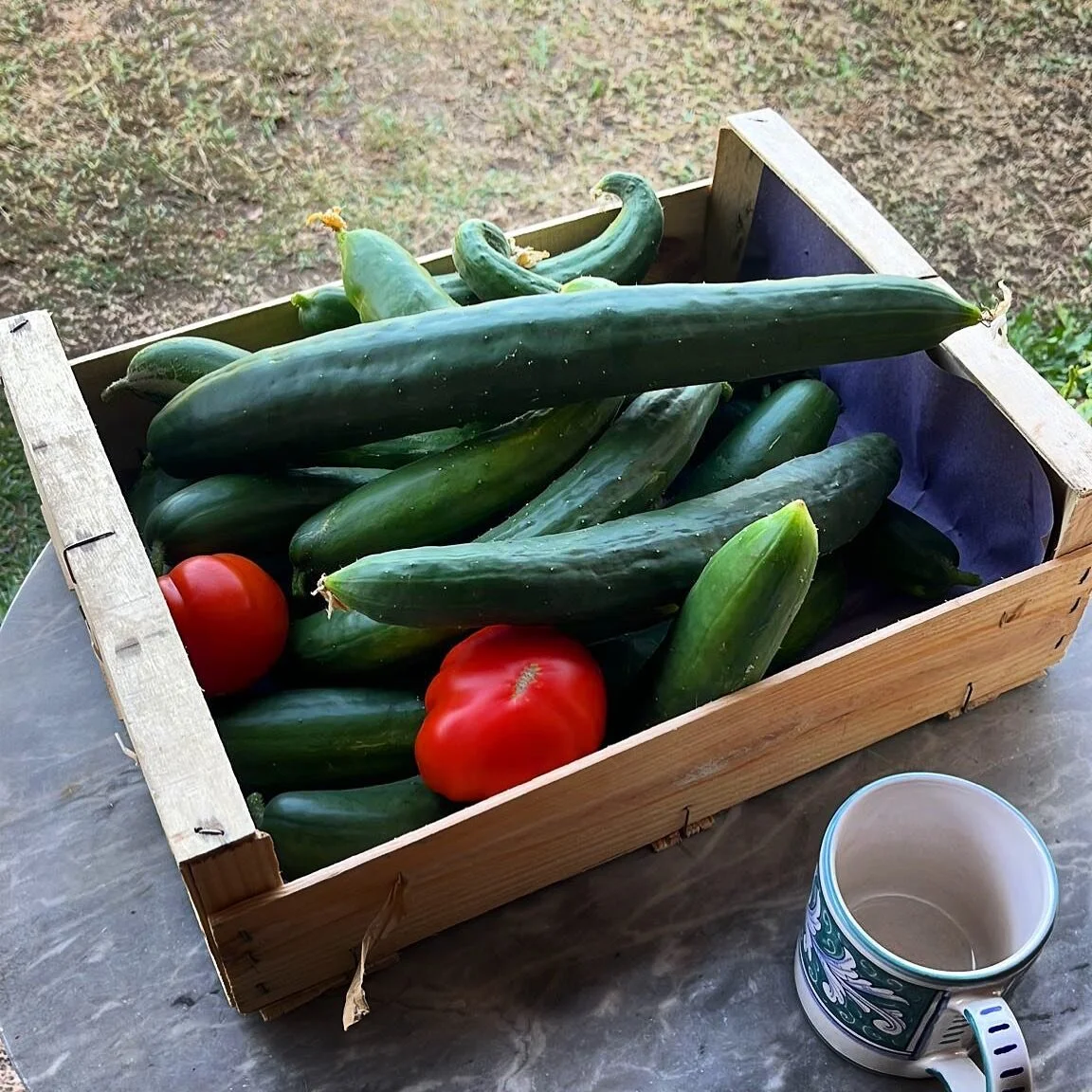 News from the field. Real flavors 🤌🏻
@agricola_maraviglia
