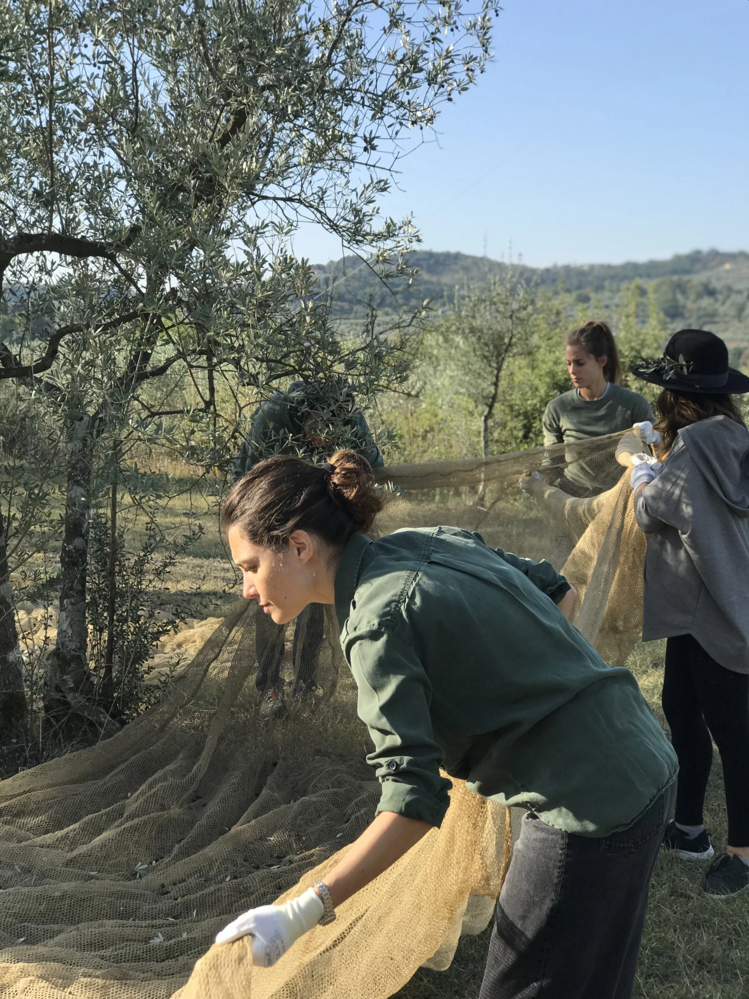 Copy of IMG_8075.JPG