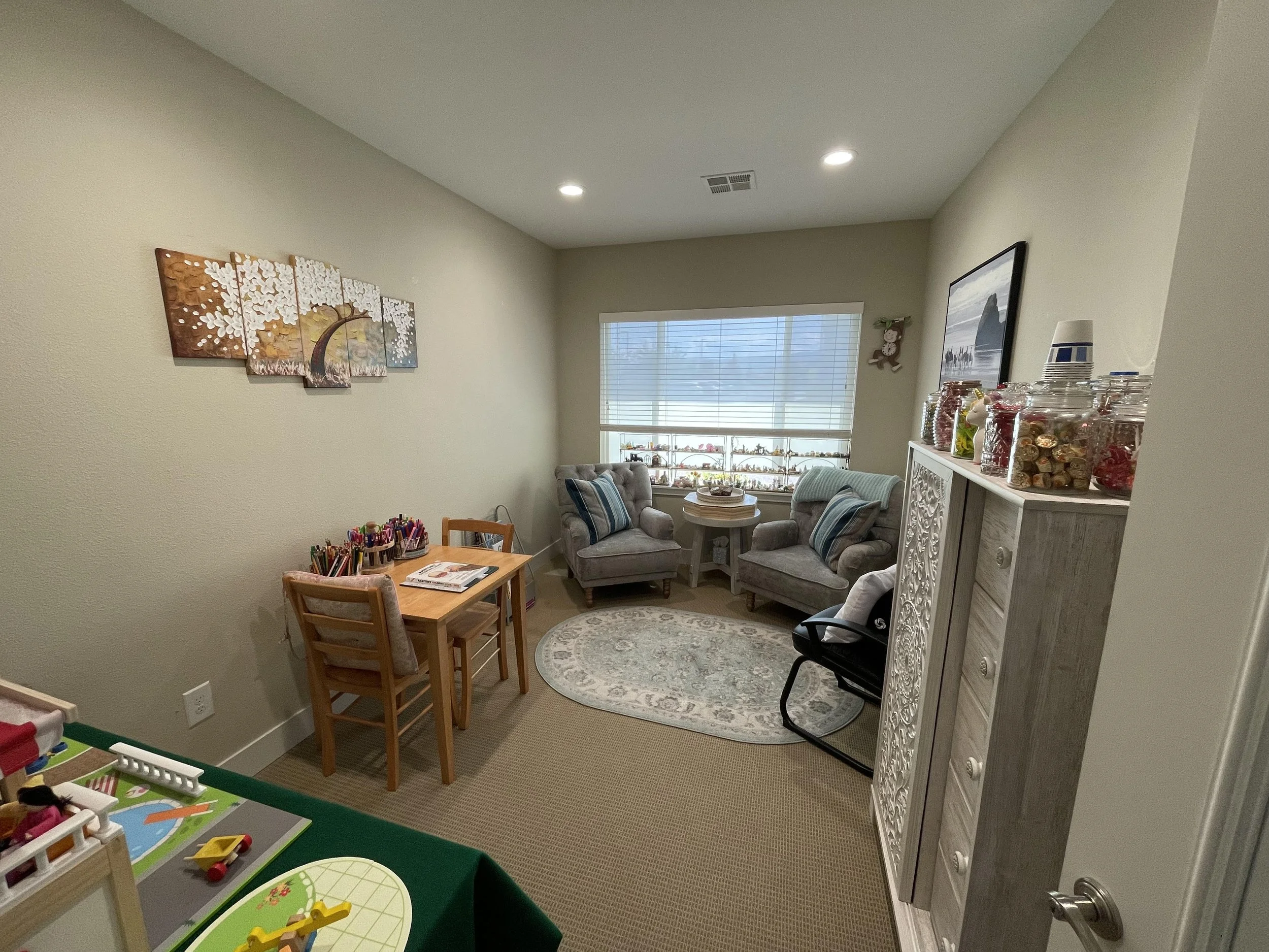 Child Therapy Space