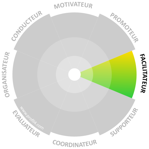 DISC: le test de personnalité management aux 4 couleurs - Texageres