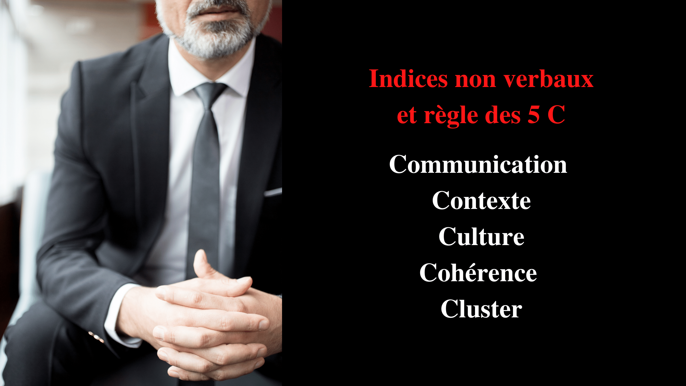 La communication nonverbale de la personnalité influente (méthode DISC) — Vecteur de croissance