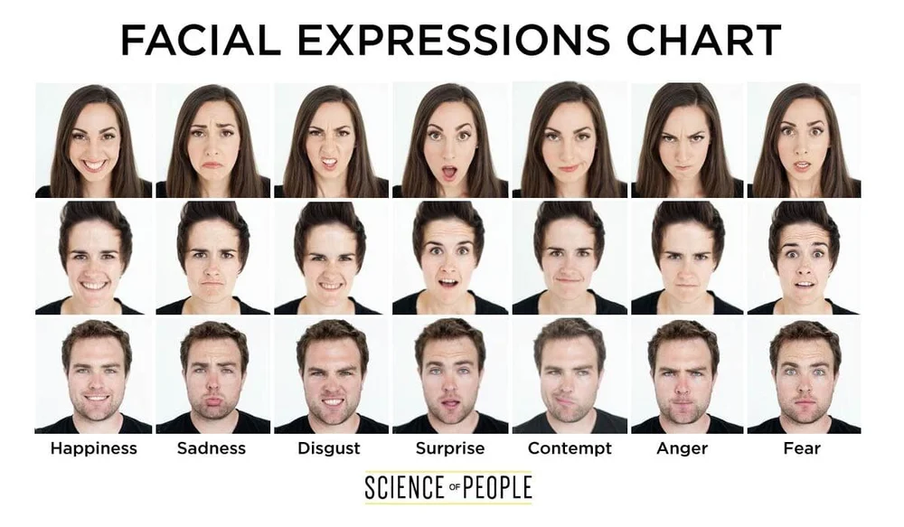 Guide Definitif De La Lecture Des 7 Micro Expressions Expressions Faciales Vecteur De Croissance Guide Definitif De La Lecture Des 7 Micro Expressions Expressions Faciales Vecteur De Croissance