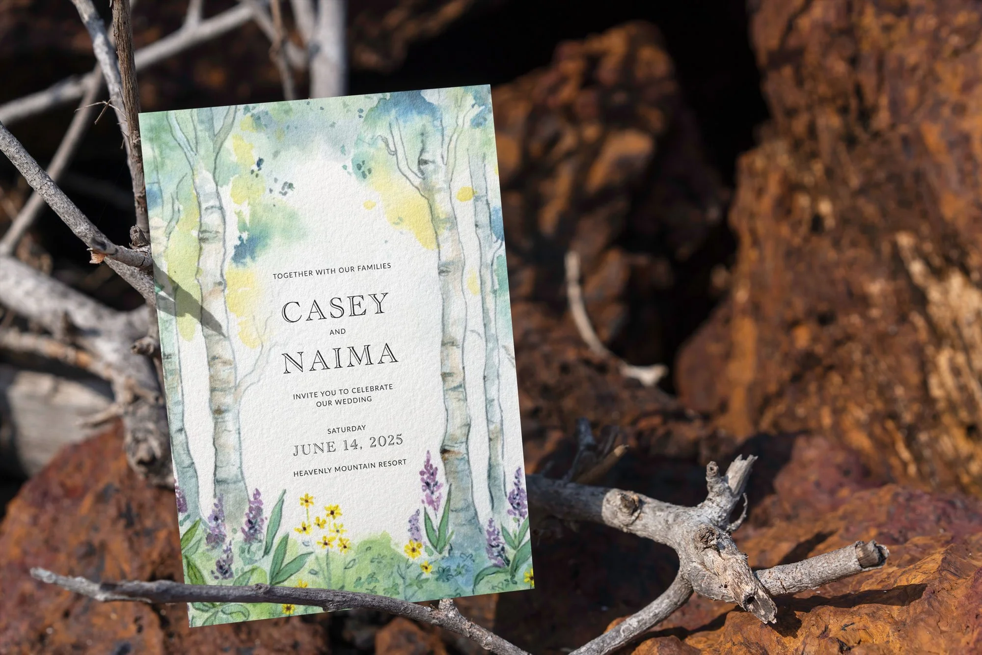 casey_naima_watercolor_V4.jpg
