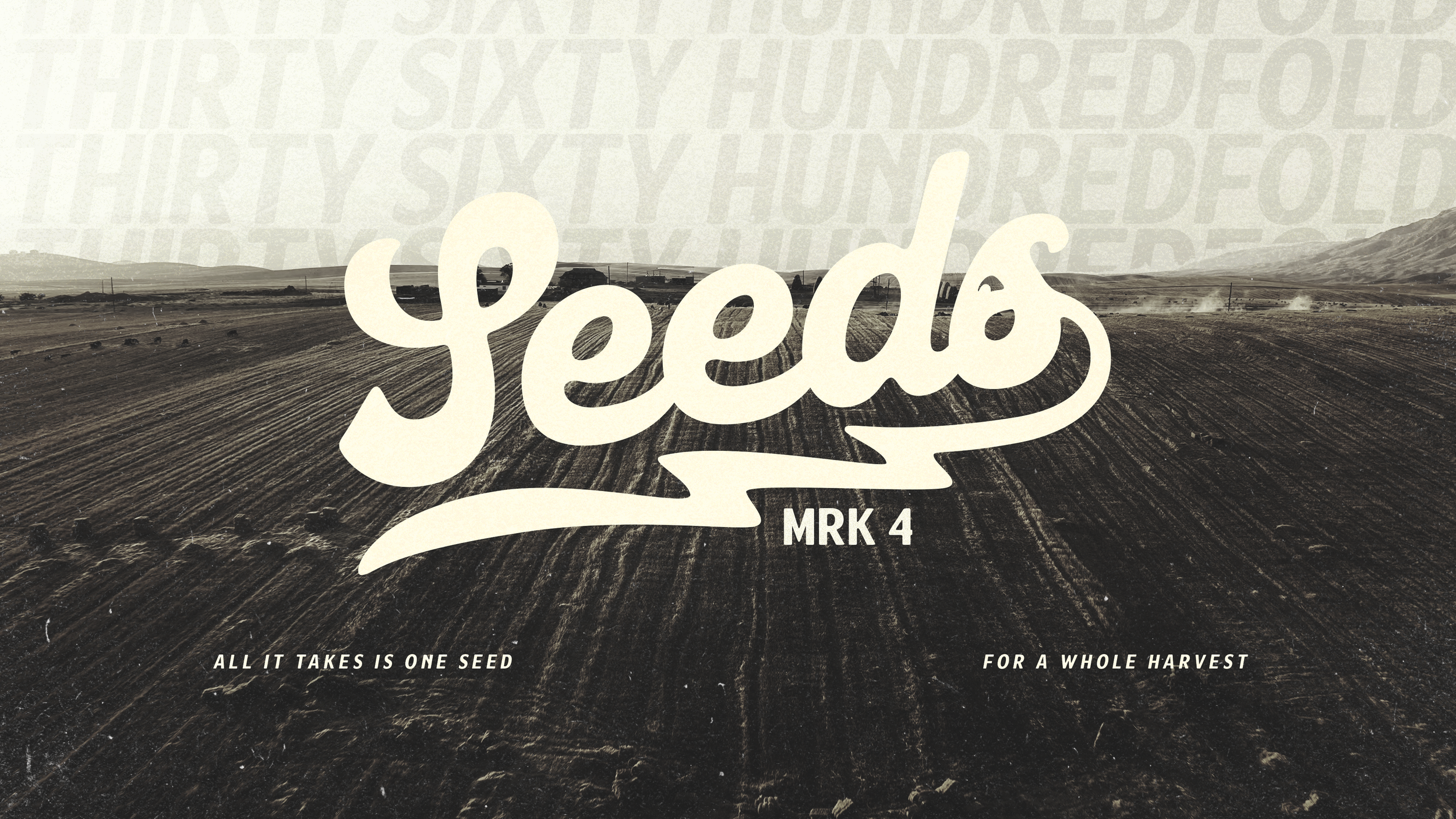 seeds graphic.png