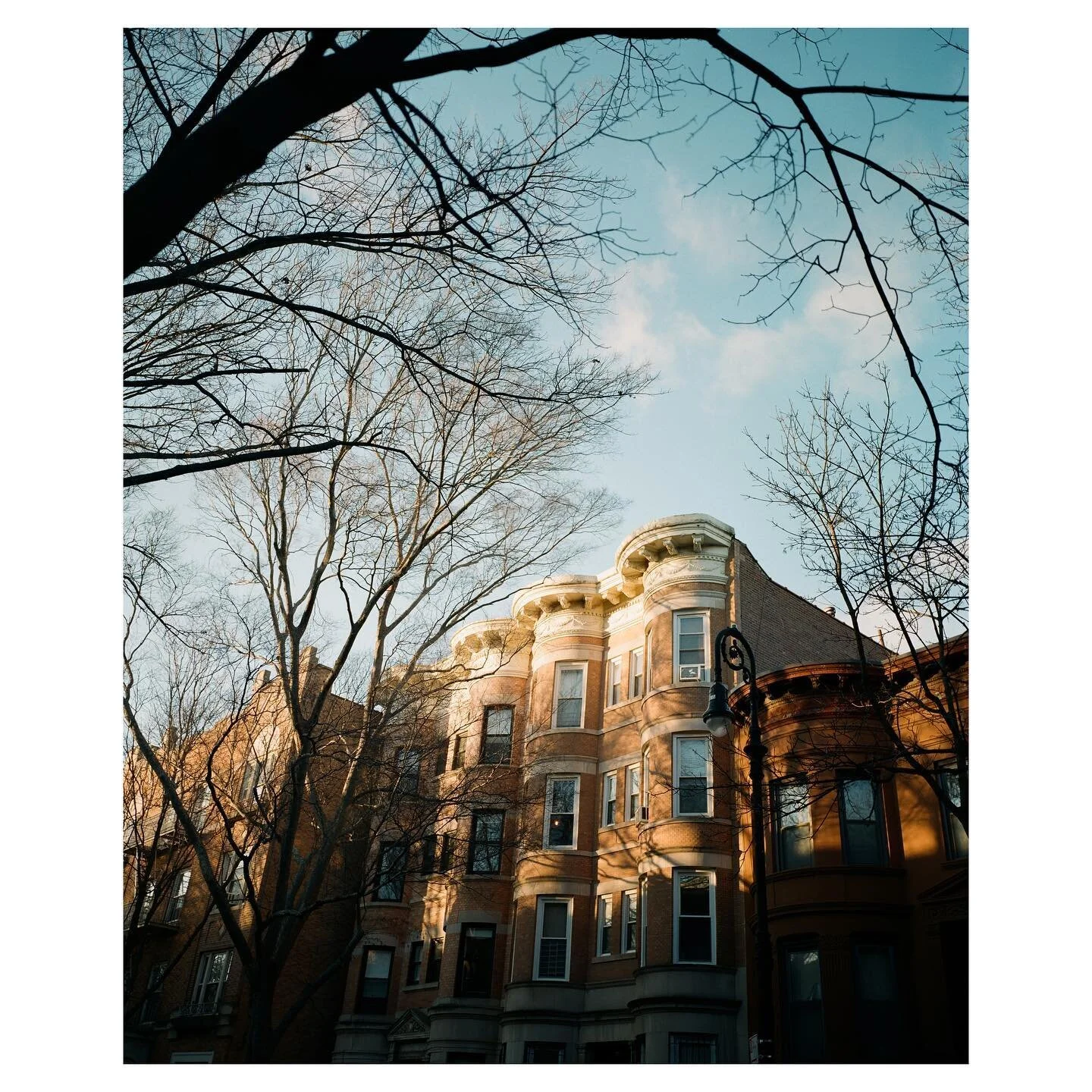 throwback to a rare winter golden hour when the sky was still blue 

______

#mediumformat #mamiya #mamiya7ii #120film #fujipro400h #pro400h #fujifilm #shotonfilm #drivebyfilm #shootfilmmag #boxspeedfeature #prospectpark #parkslope