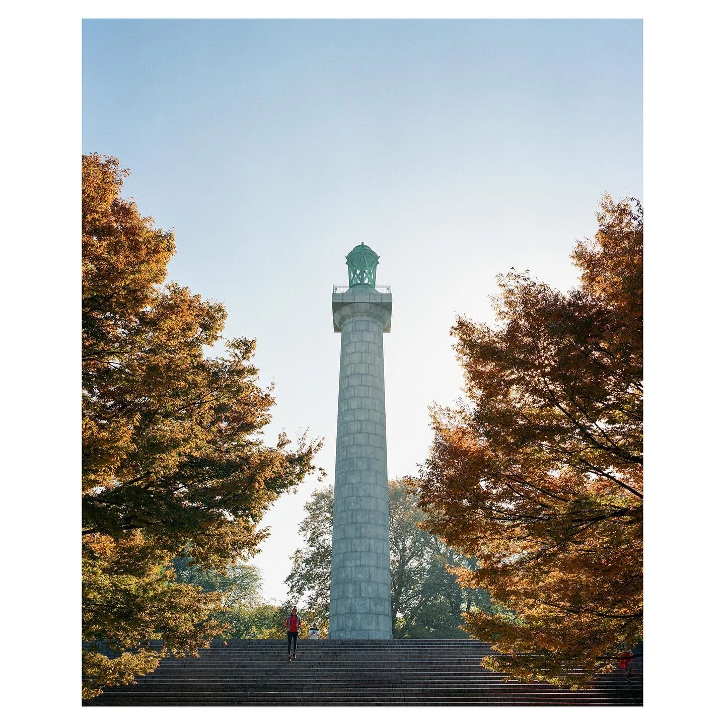 Farewell to autumn and the morning light that shines through the golden leaves. Let&rsquo;s see what beauty the winter months bring&hellip; 

______

#mediumformat #mamiya #mamiya7ii #120film #kodakportra400 #portra400 #madewithkodak #shotonfilm #dri