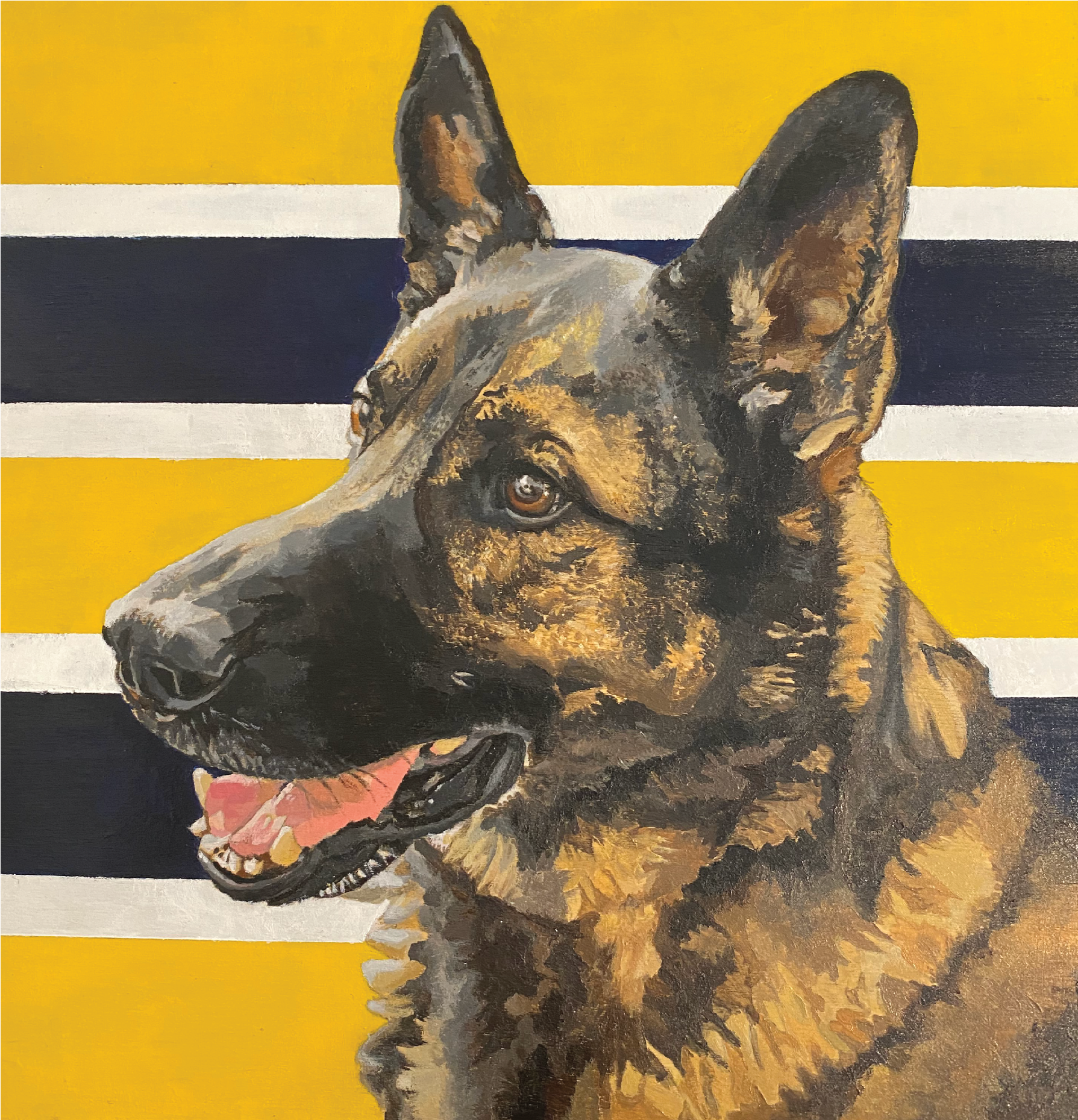 DOGGy3.png