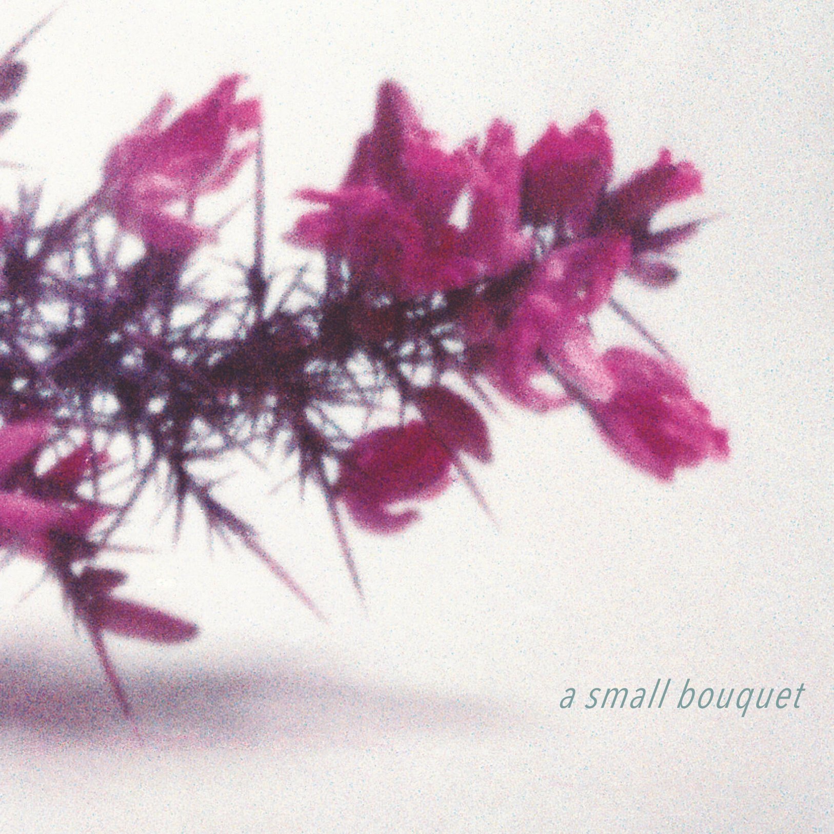Bouquet-web coverjpg.jpg