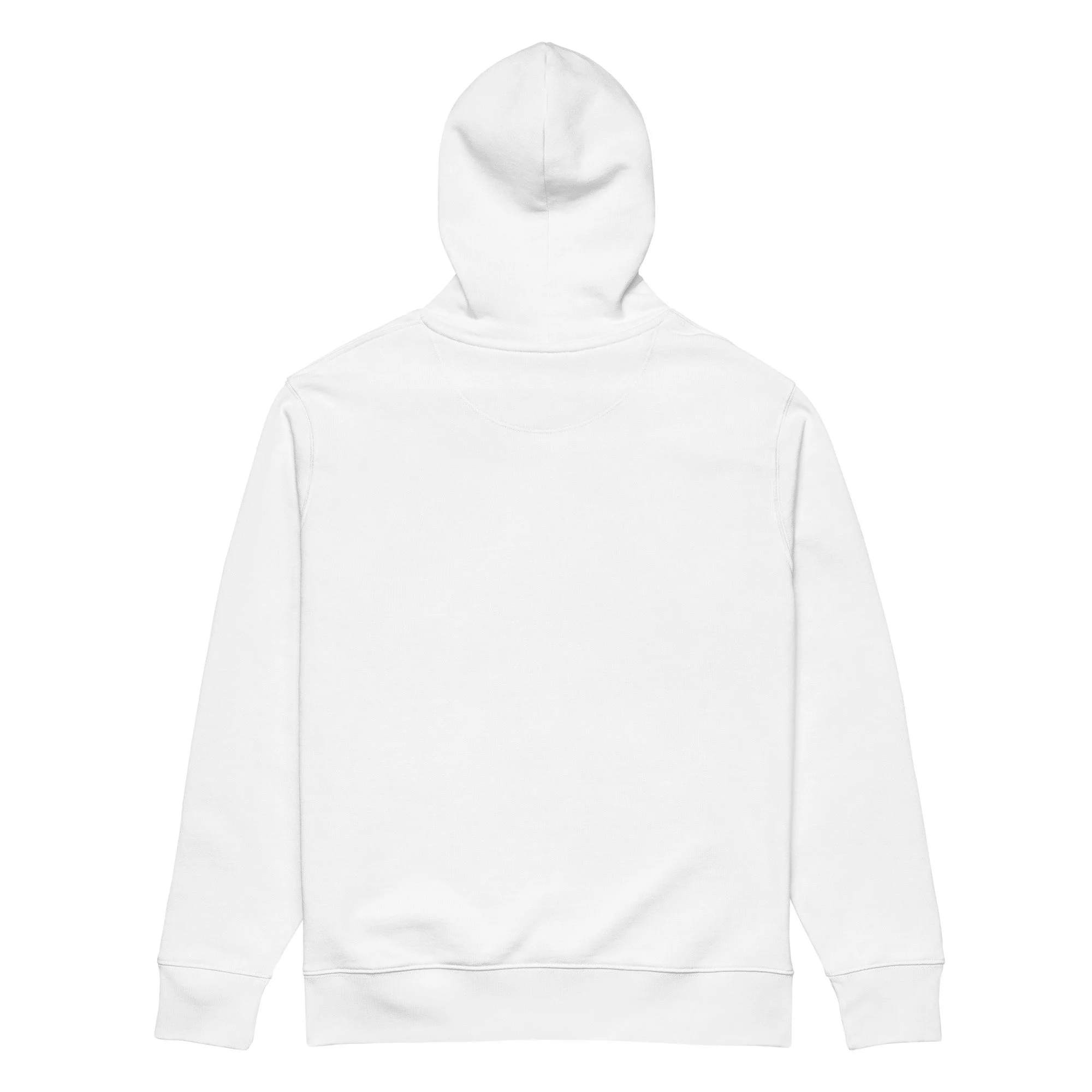 unisex-essential-eco-hoodie-white-back-6930168c7c553.jpg