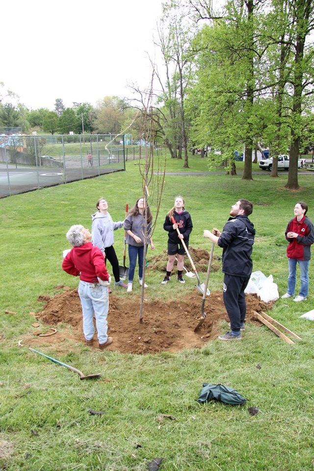 treeplanting.jpg