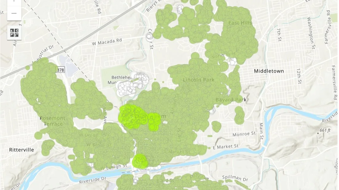 Bethlehem Street Tree Inventory Community Access 3/1/2021