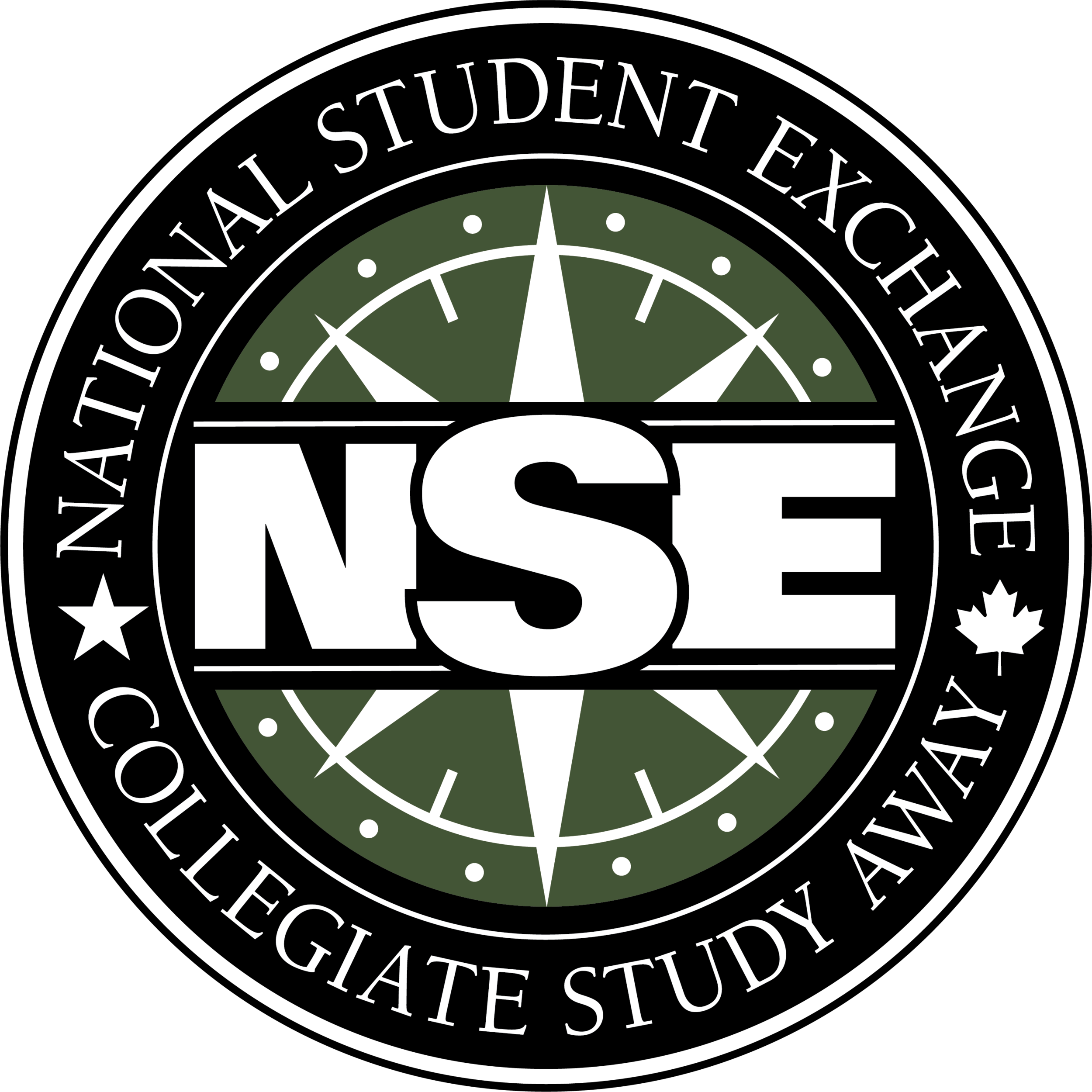 My NSE Adventure