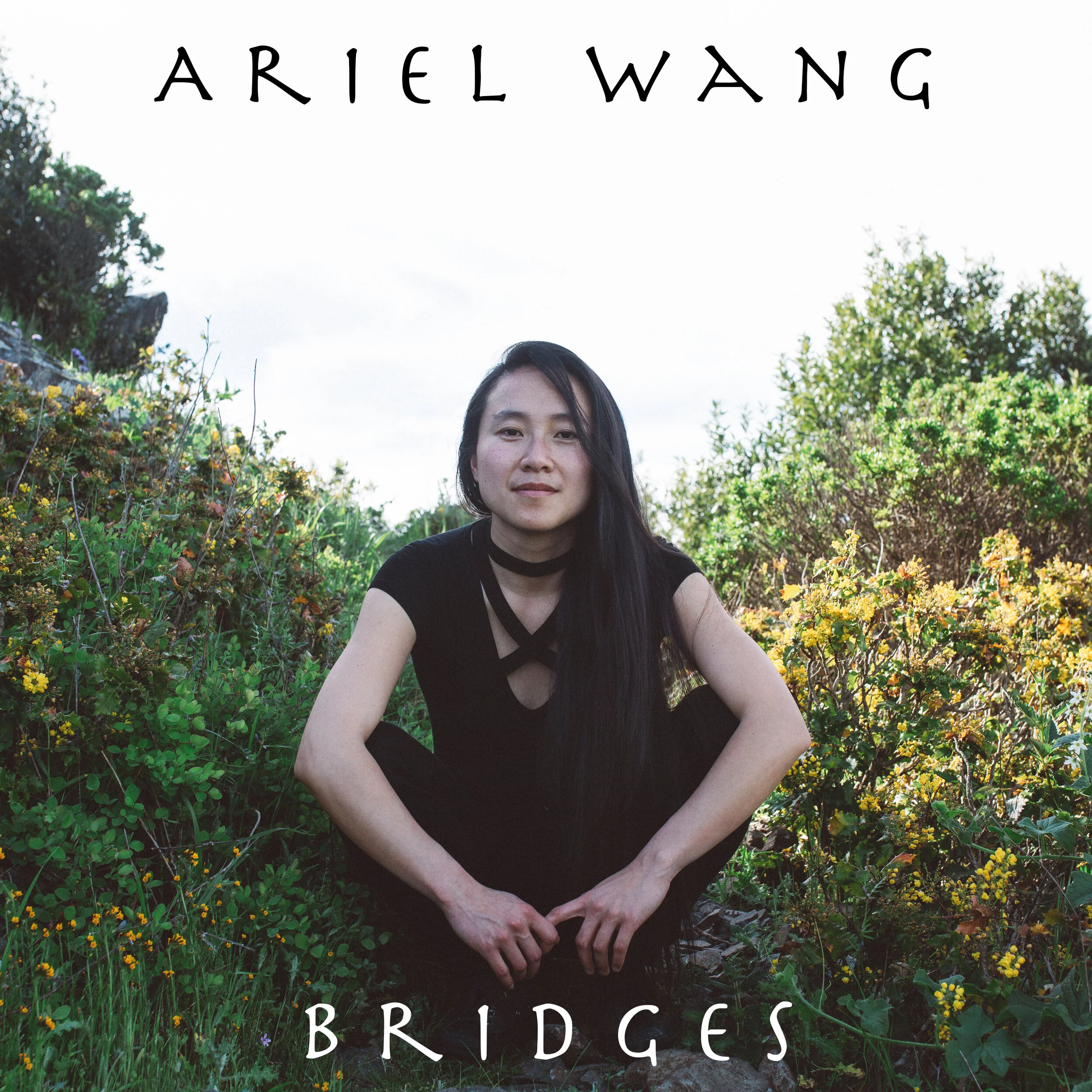 Bridges Front.jpg
