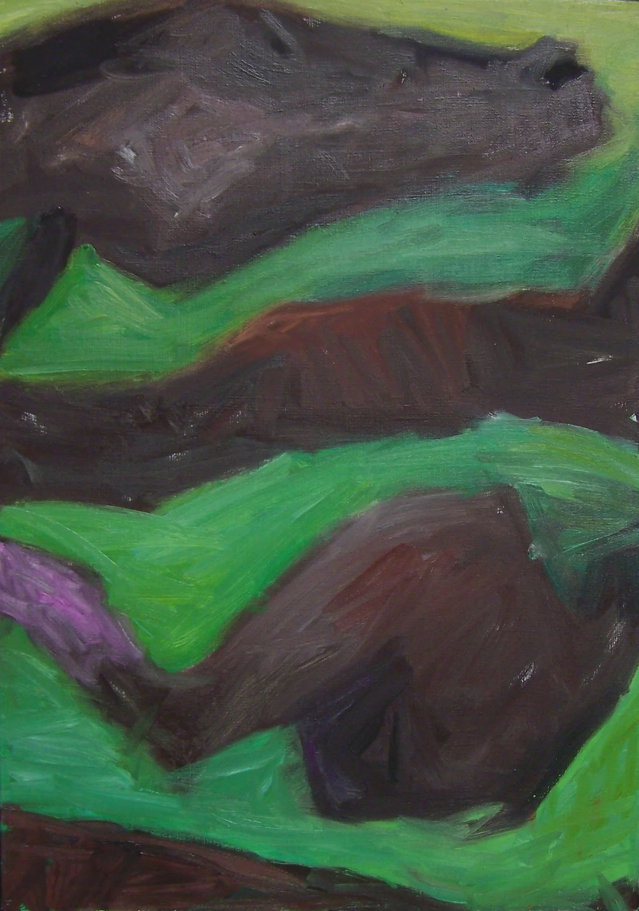 Horse Head and Legs 2006.jpg