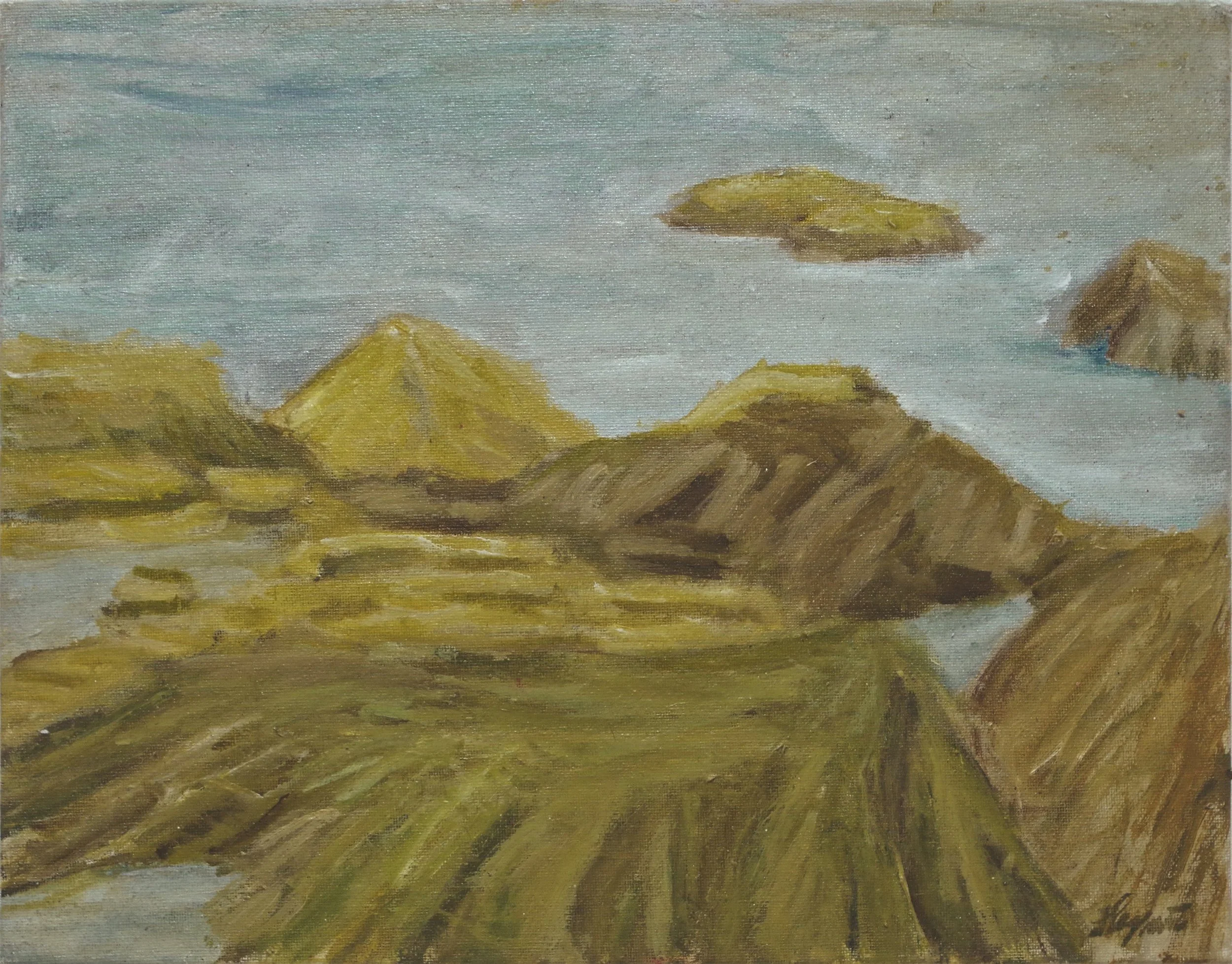 Rocks and Seaweed.jpg