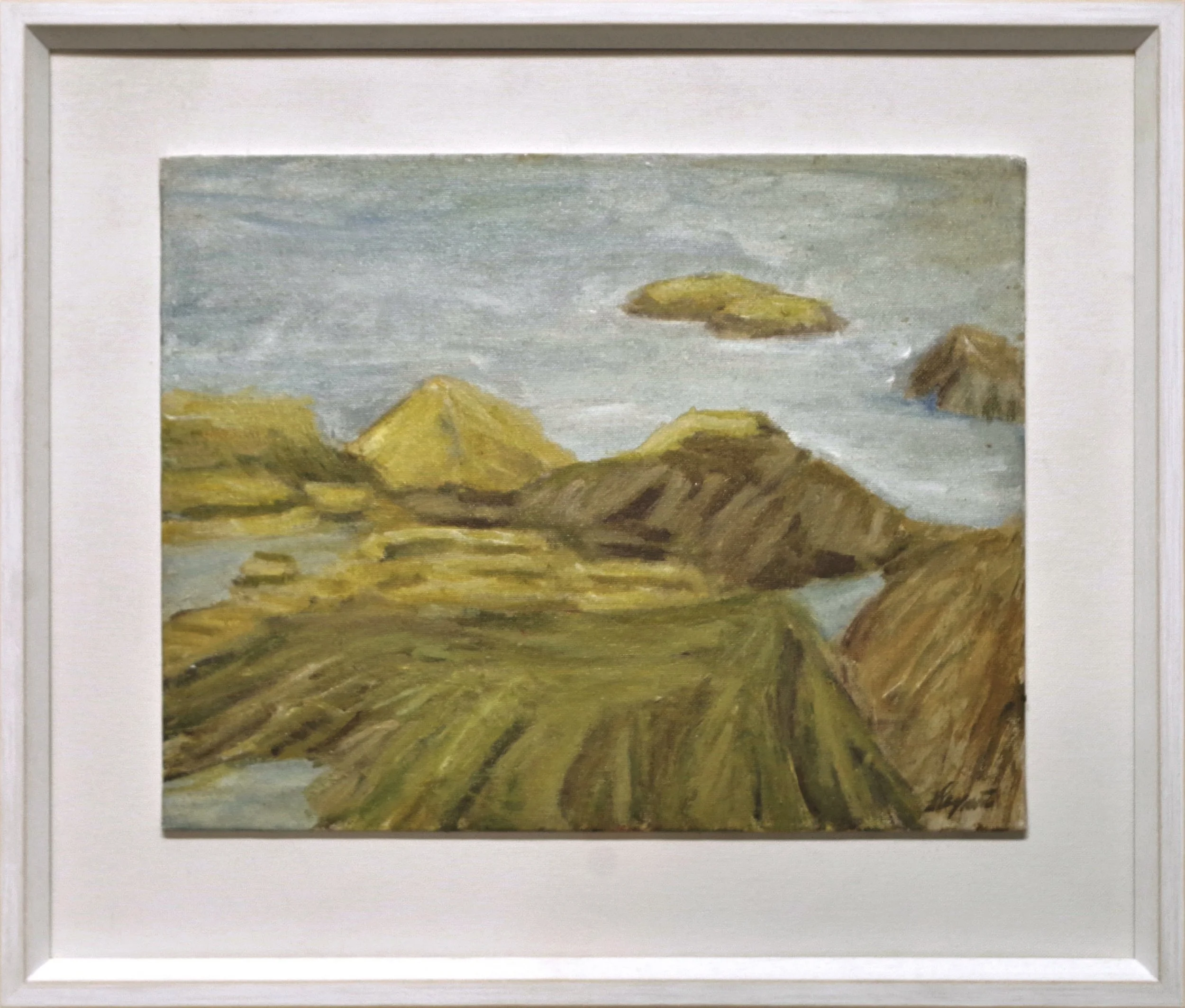 Rocks and Seaweed framed.jpg
