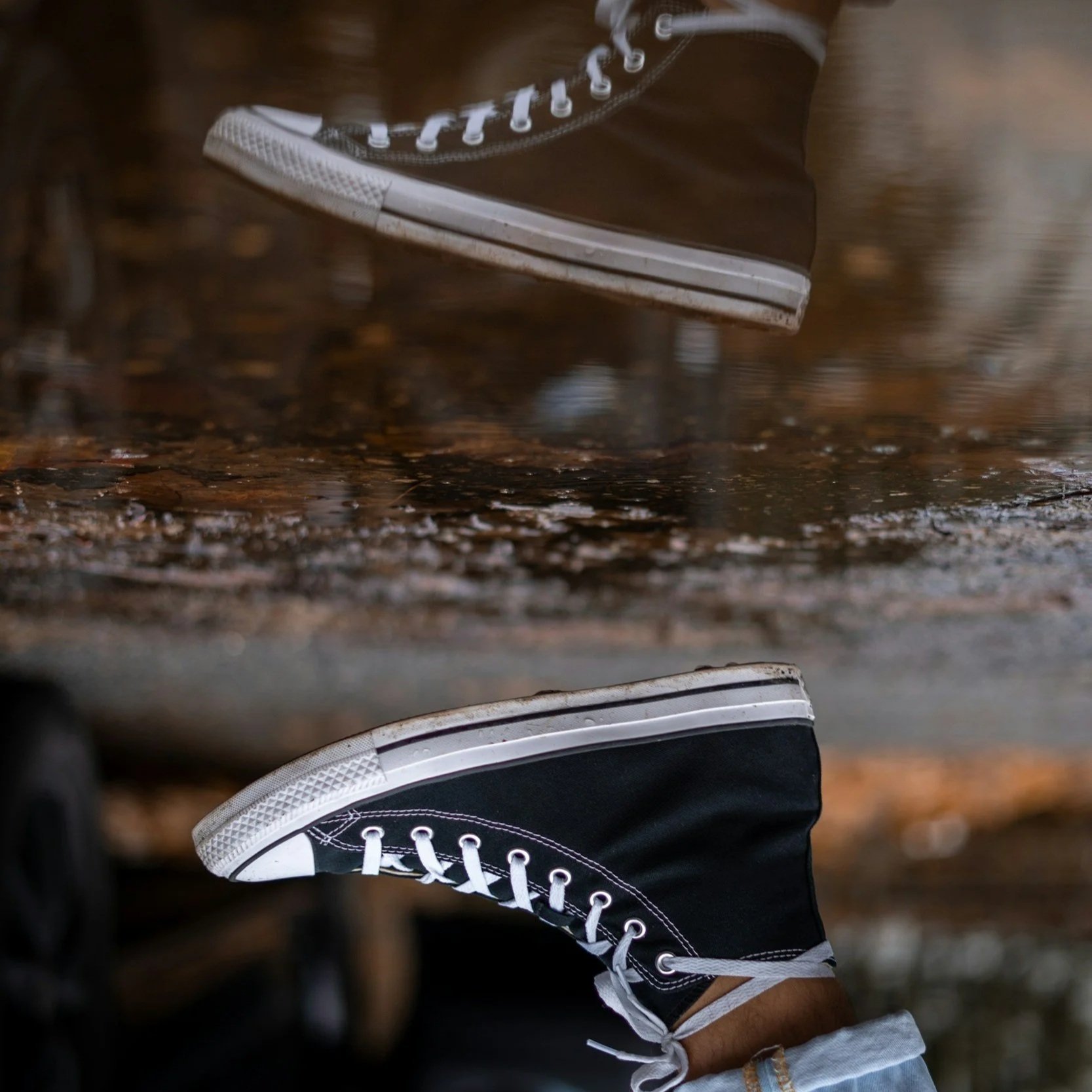 Silhouettes of tall grass stalks against a sunset or sunrise with a large bright sun and colorful sky.