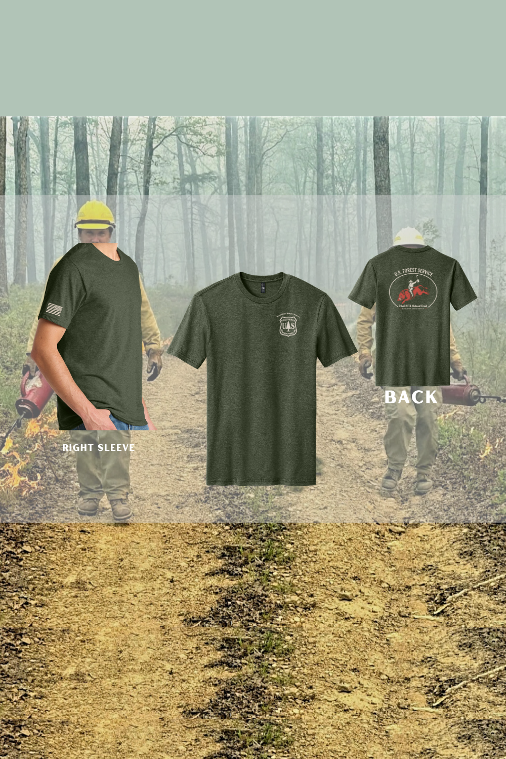 MENA Fire - Mena dm108 heather forest.png