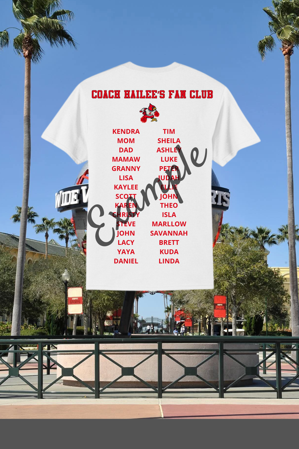 Coach Hailee's fan club sample.png