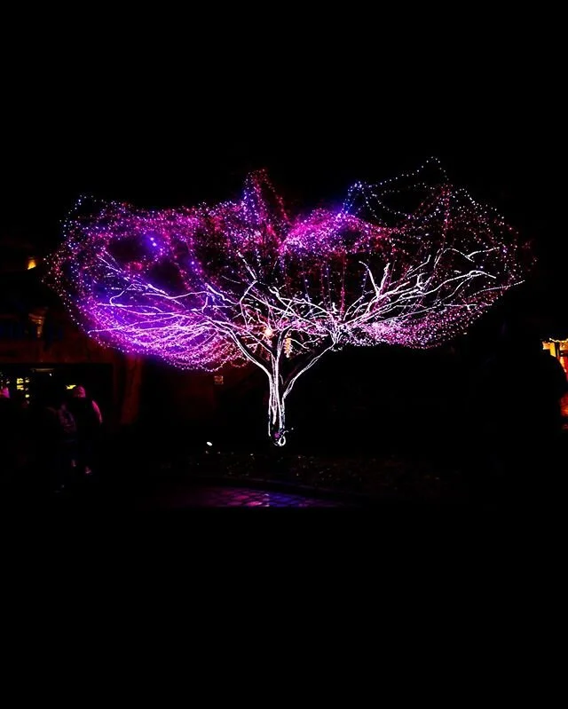 In the midst of the street of it, and on either side of the river, was there the tree of life #zooilluminations #nashvilletn #nashvillephotography