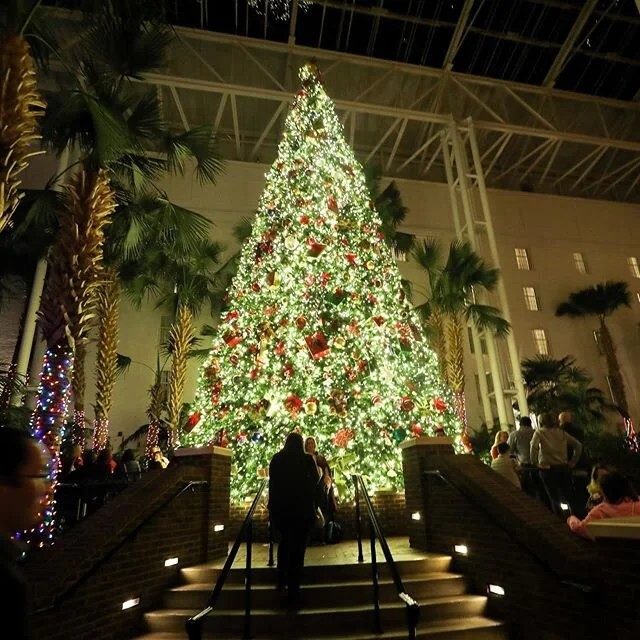 Here's to the ones that we got, cheers to the wish you were here but you're not, &lsquo;cause the drinks bring back all the memories of everything we've been through #canonphoyography #nashvillephotography #oprylandchristmas #nashvilletennessee #maro
