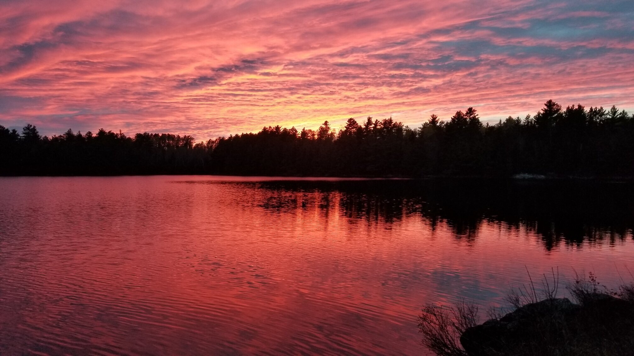 BWCA-wesome