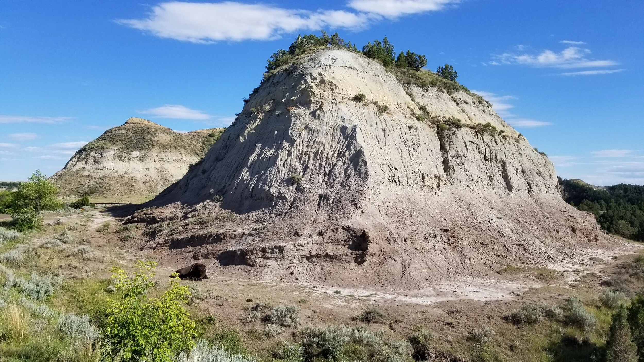 20200726_170028 - Copy.jpg