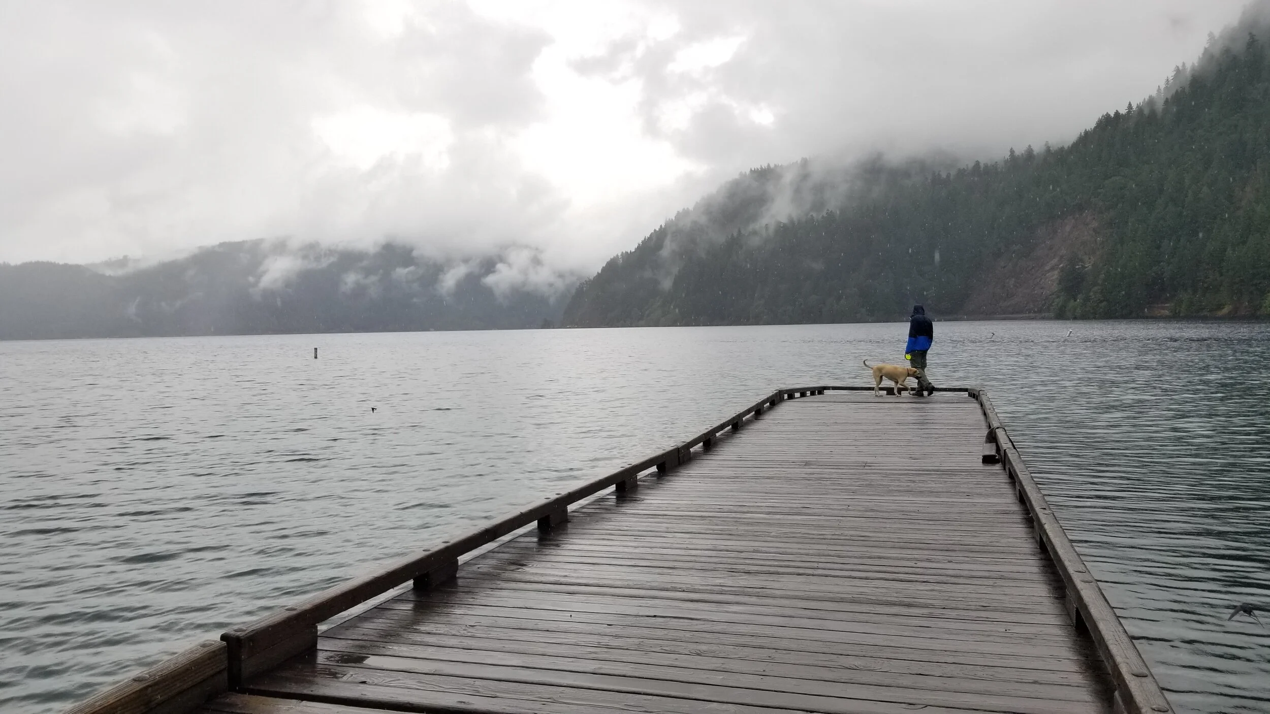 20200821_141738 - Copy.jpg