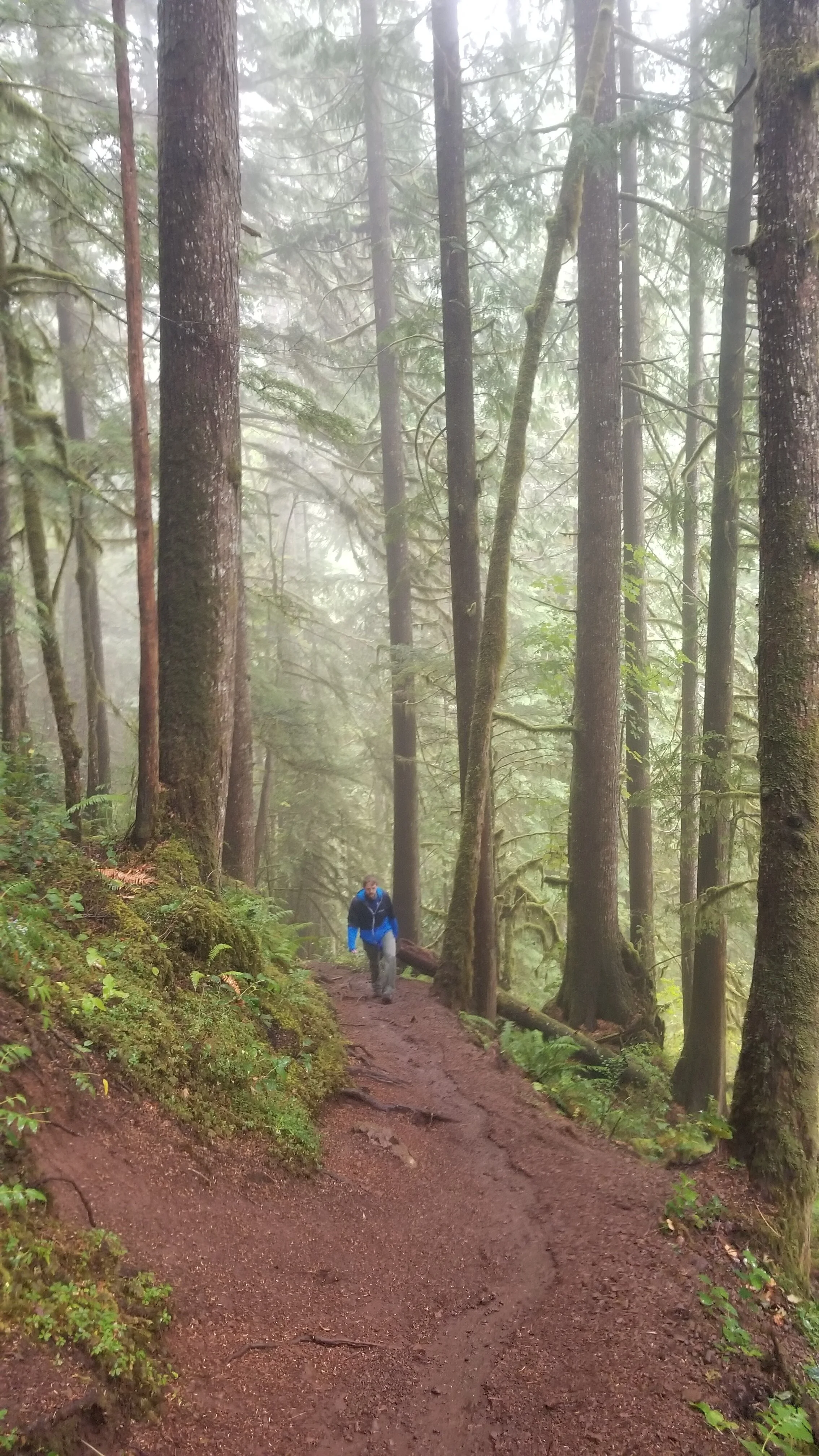 20200821_144102 - Copy.jpg