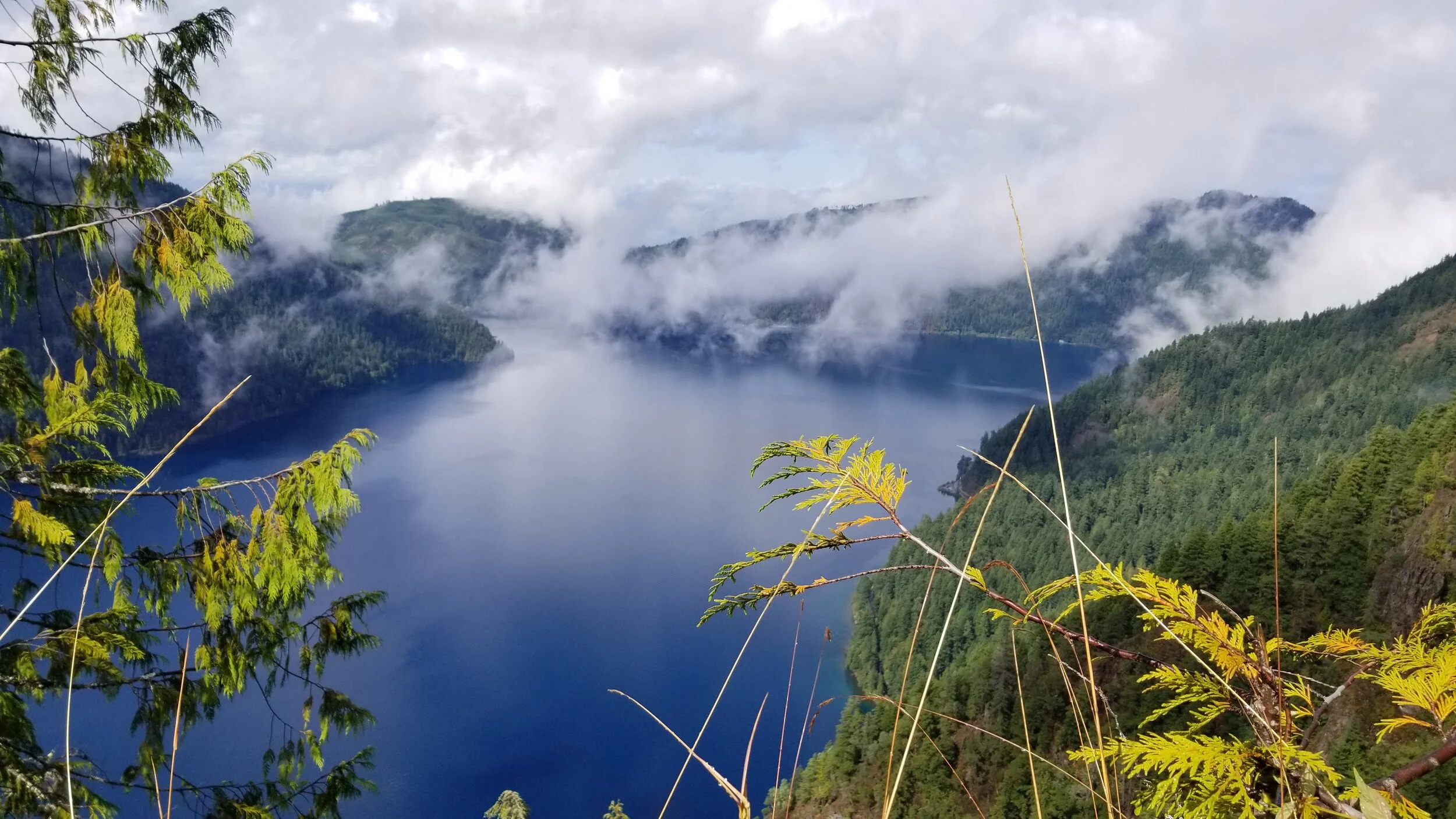 20200821_151721 - Copy.jpg