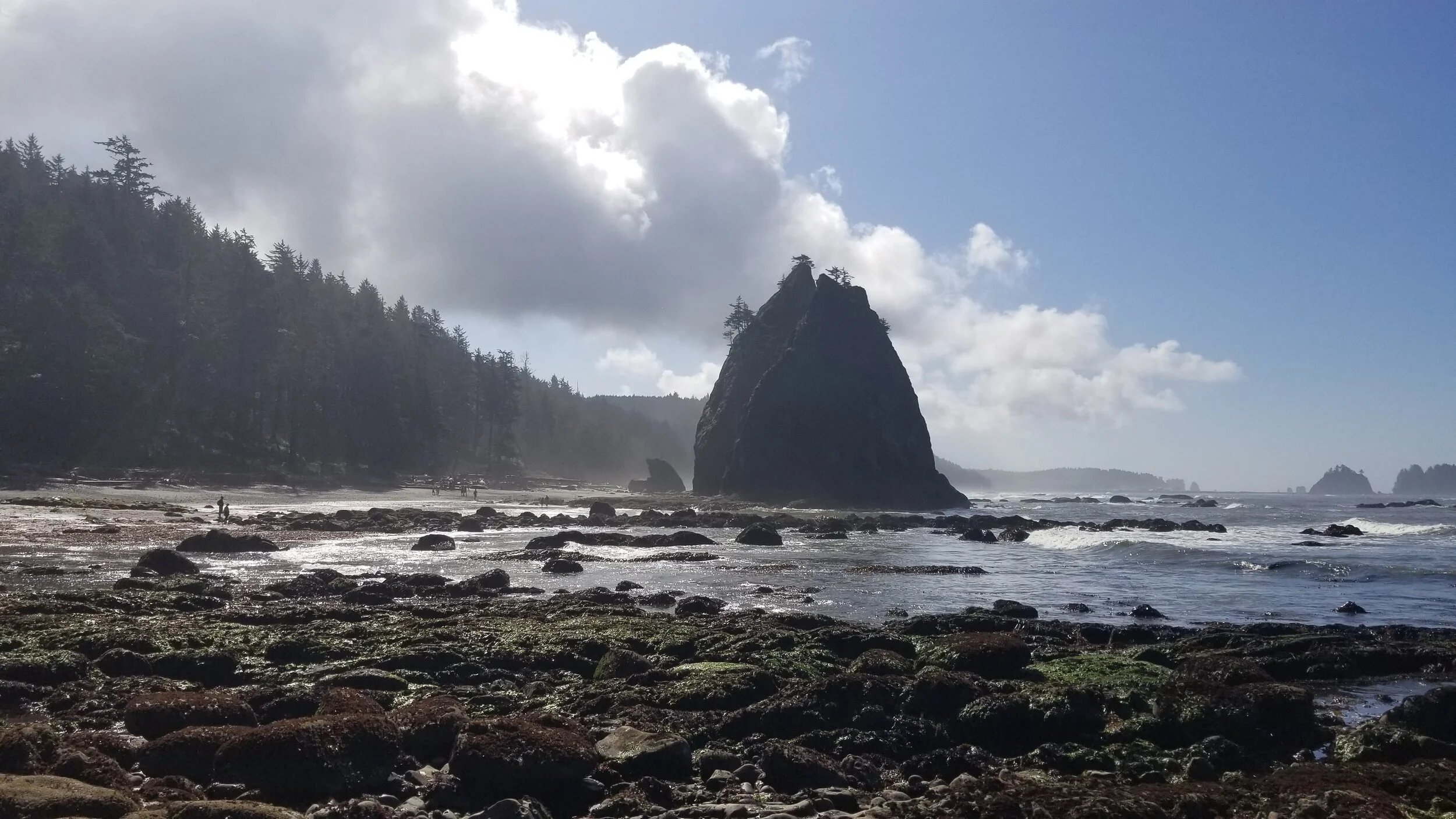 20200822_104500 - Copy.jpg