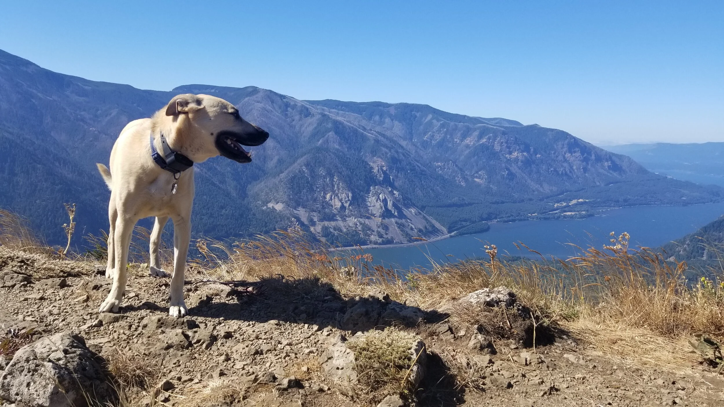 20200825_104806 - Copy.jpg