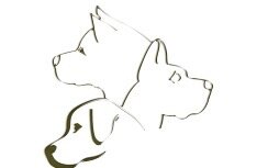 PastedGraphic-1.jpg