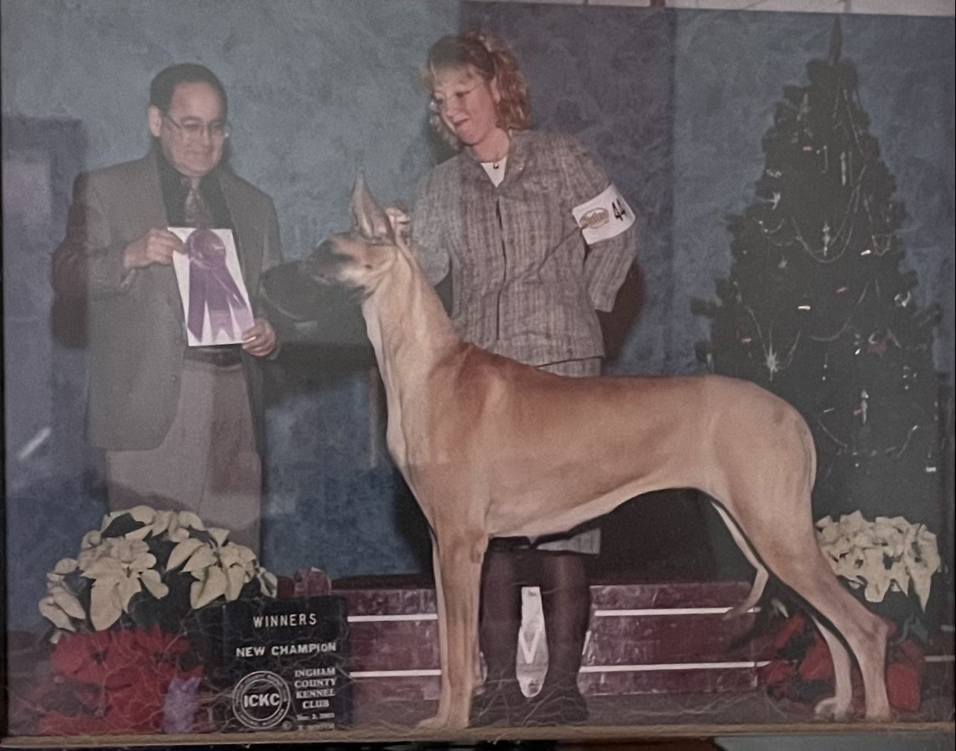 Ch. Olivia’s Heart Of Fire N Ice “Olivia” 06.16.99 - 06.10.11 Olivia is our first Great Dane, first champion, & the foundation of HFO Danes. She is a big girl & a pleasure to live with. Health clearances: https://ofa.org/advanced-search/