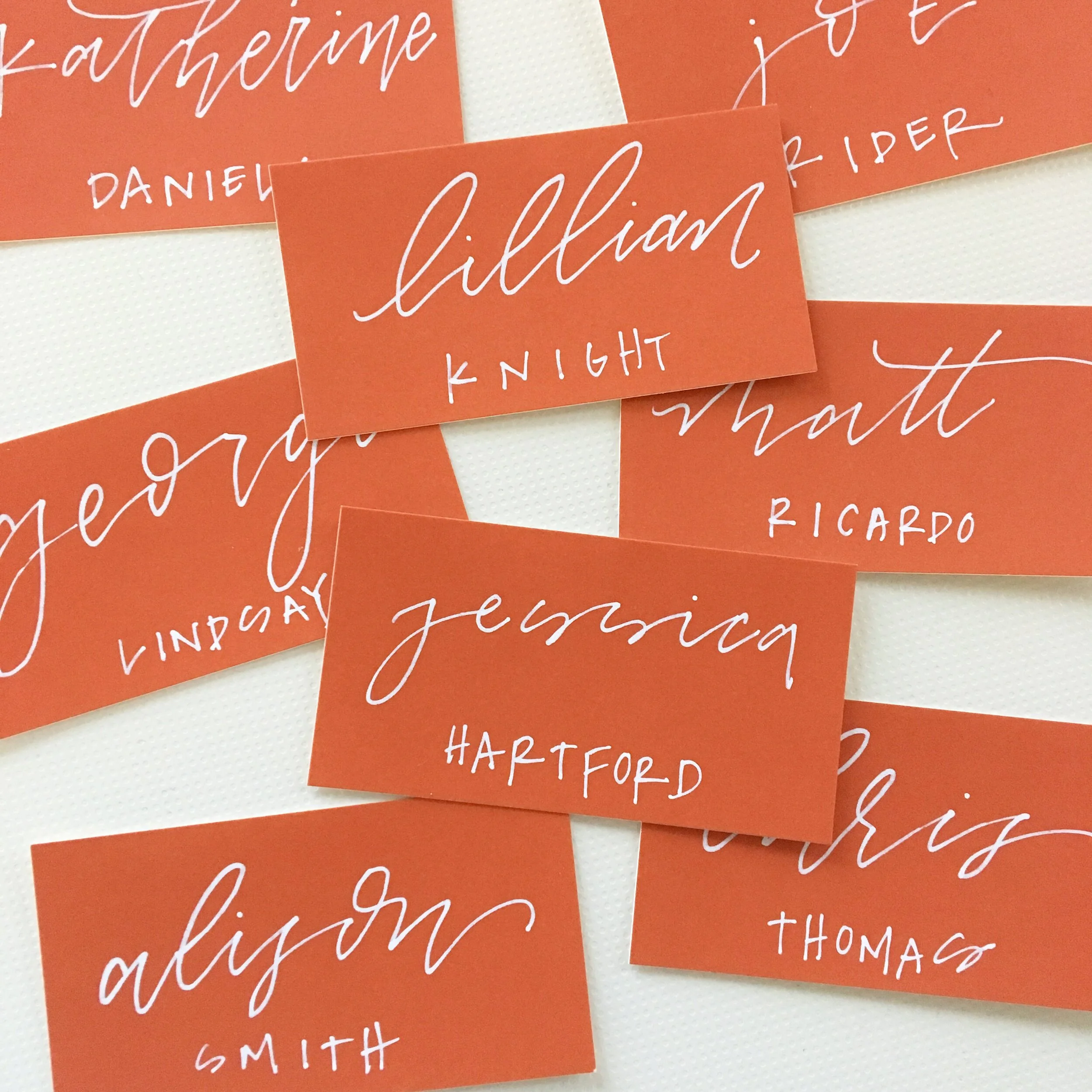  Monoline White Ink Calligraphy Escort Cards 