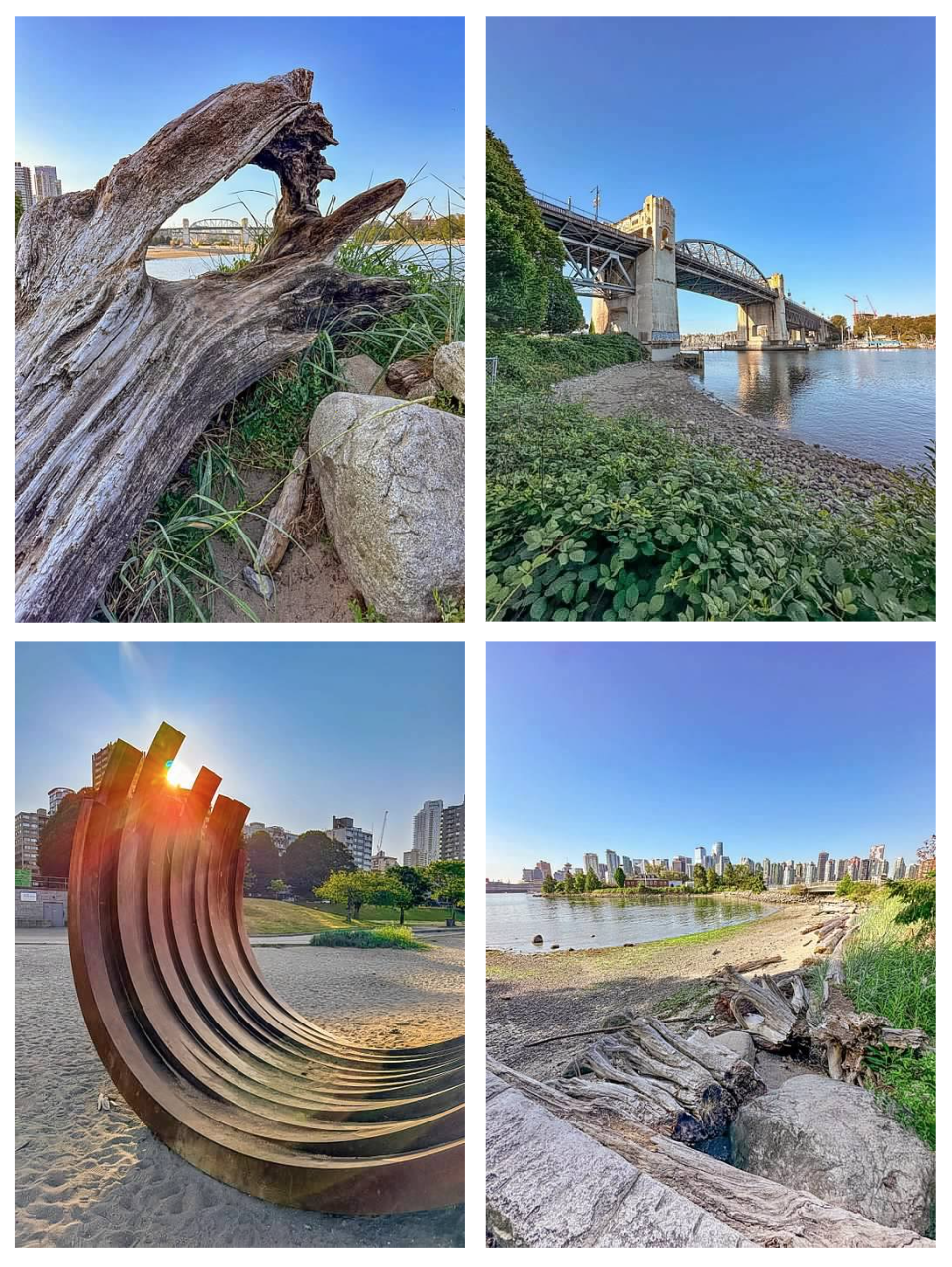 Screen Shot 2026-02-10 at 10.54.25 AM.png