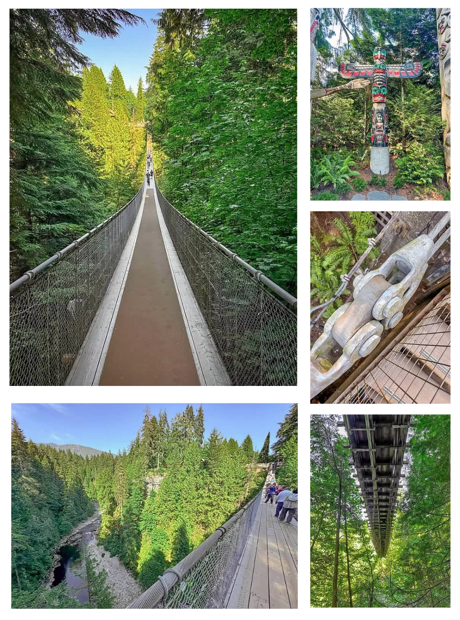 Screen Shot 2026-02-10 at 10.57.03 AM.png