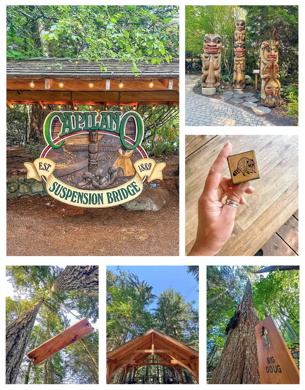 Screen Shot 2026-02-10 at 10.56.59 AM.png