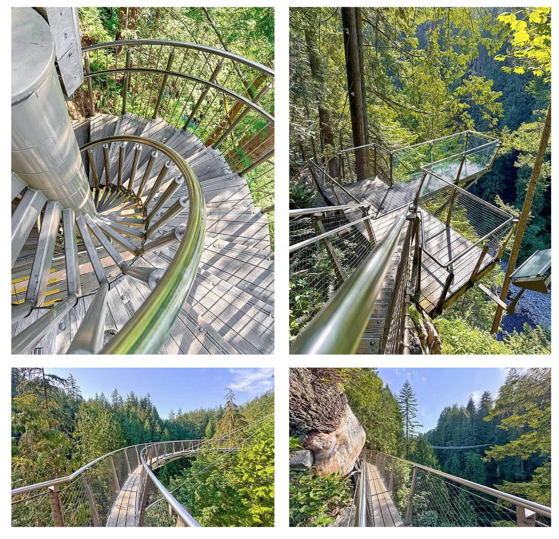 Screen Shot 2026-02-10 at 10.57.09 AM.png