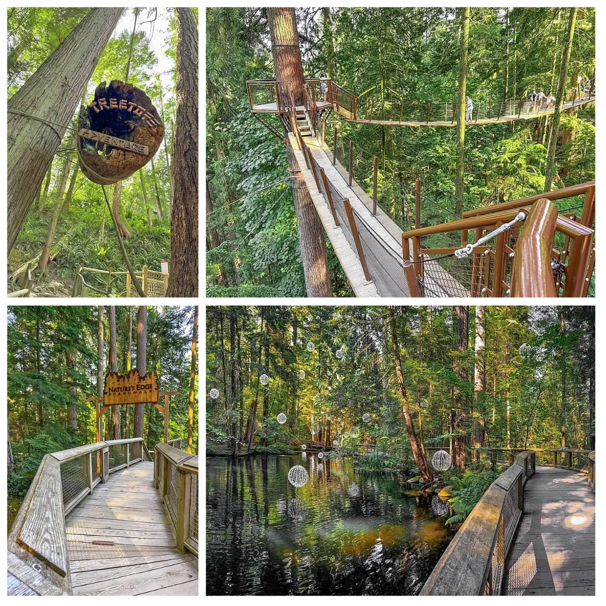 Screen Shot 2026-02-10 at 10.57.13 AM.png